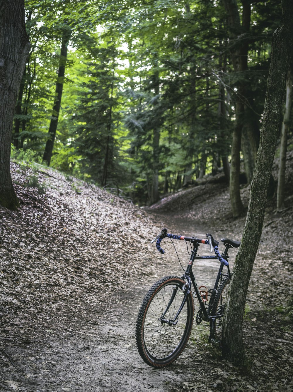 blue and black mountain bike on forest during daytime