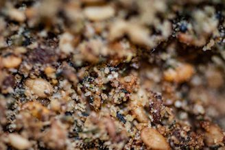 water droplets on brown soil