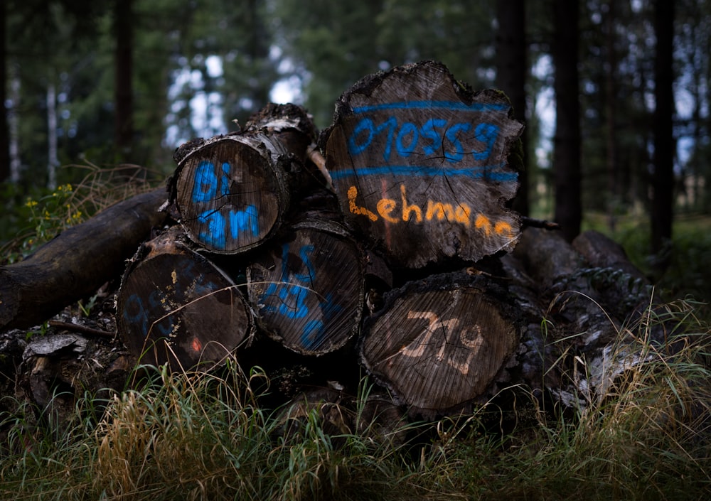 brown wood log on green grass field