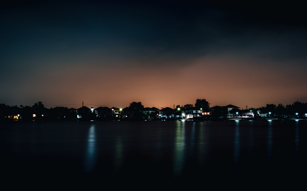 silhouette of trees near body of water during sunset