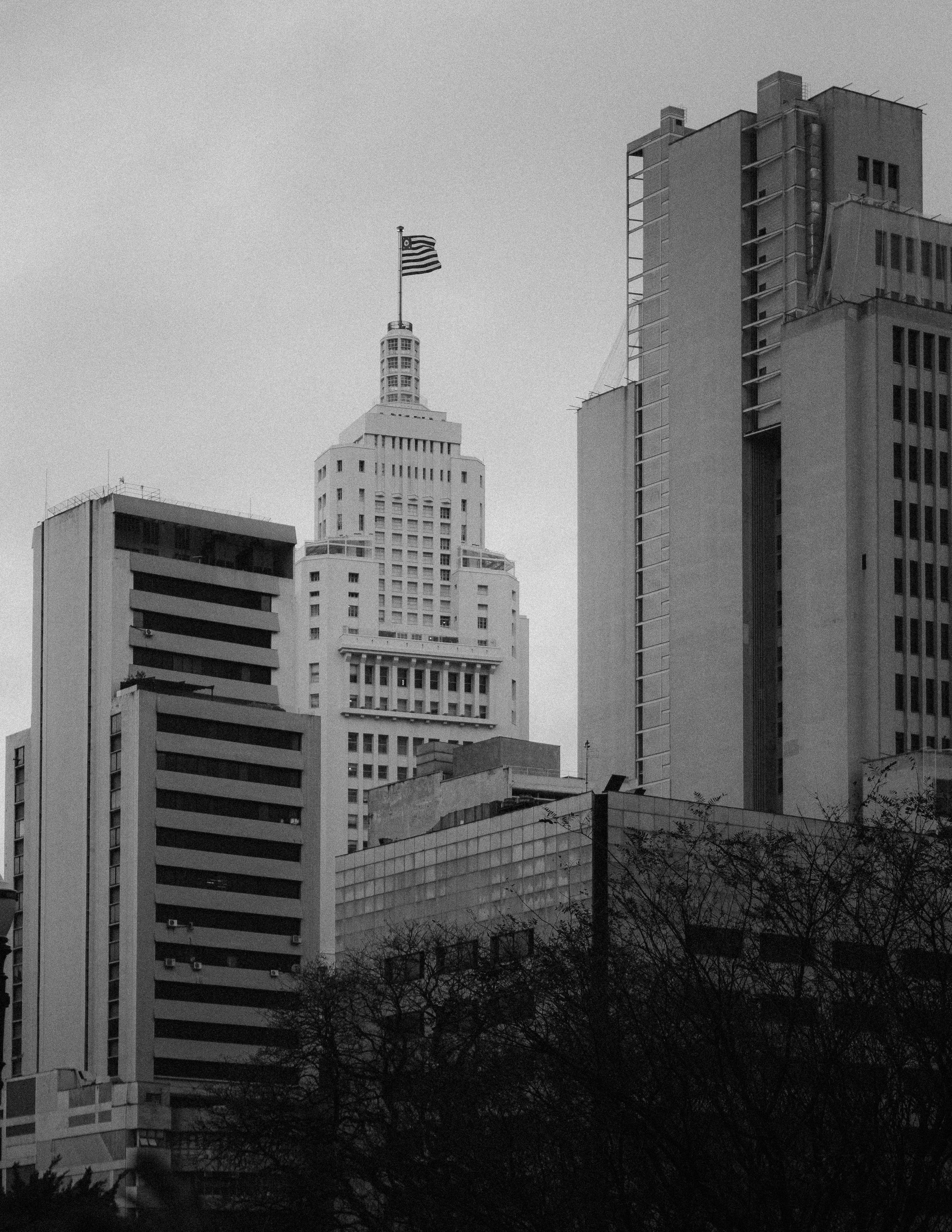 Foto en escala de grises de un edificio de gran altura