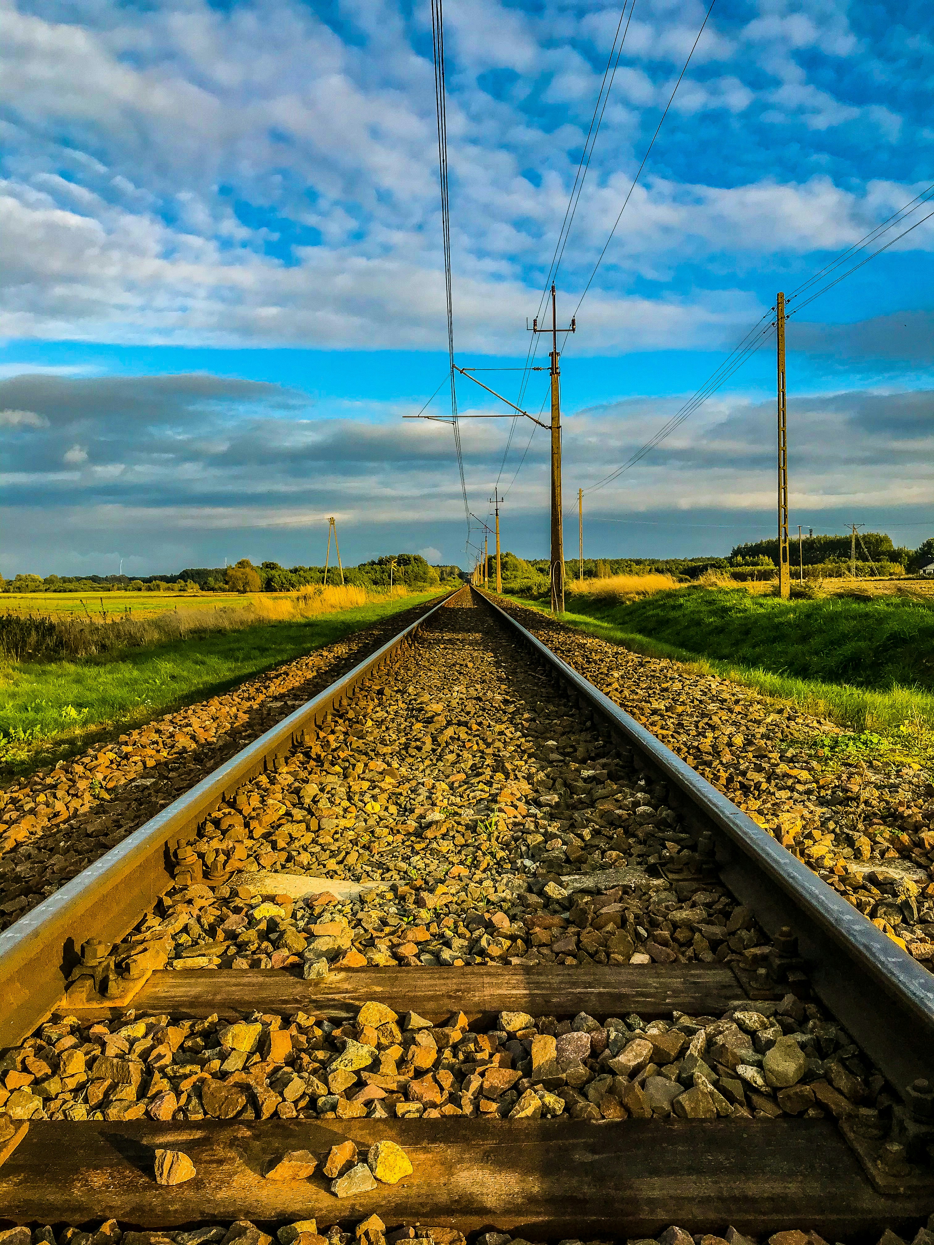 Photo by matthew_996