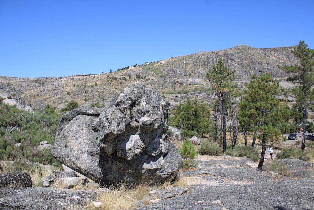 gray rock formation near green trees under blue sky during daytime