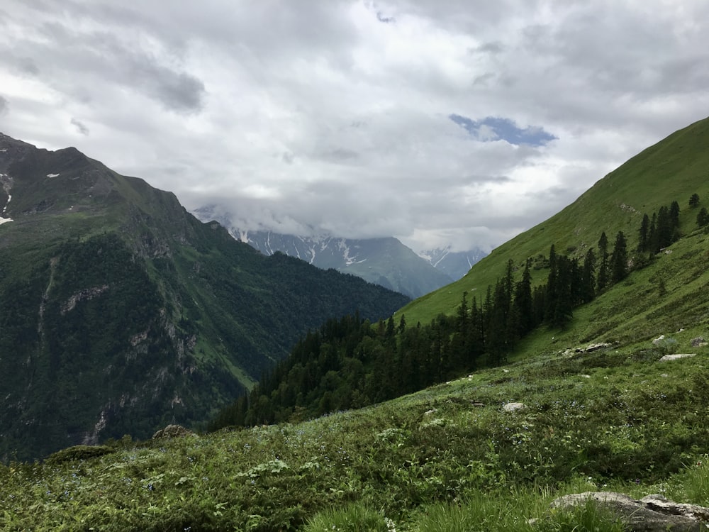 green grass field and mountains under white clouds and blue sky during daytime