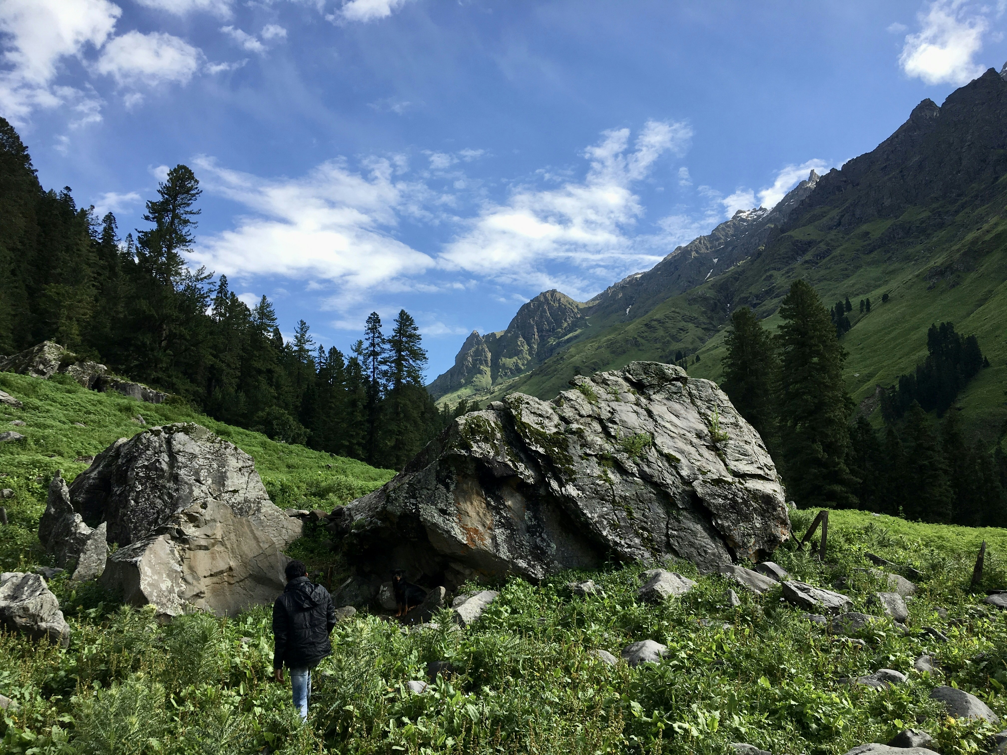 Photo by rajkaustubh32