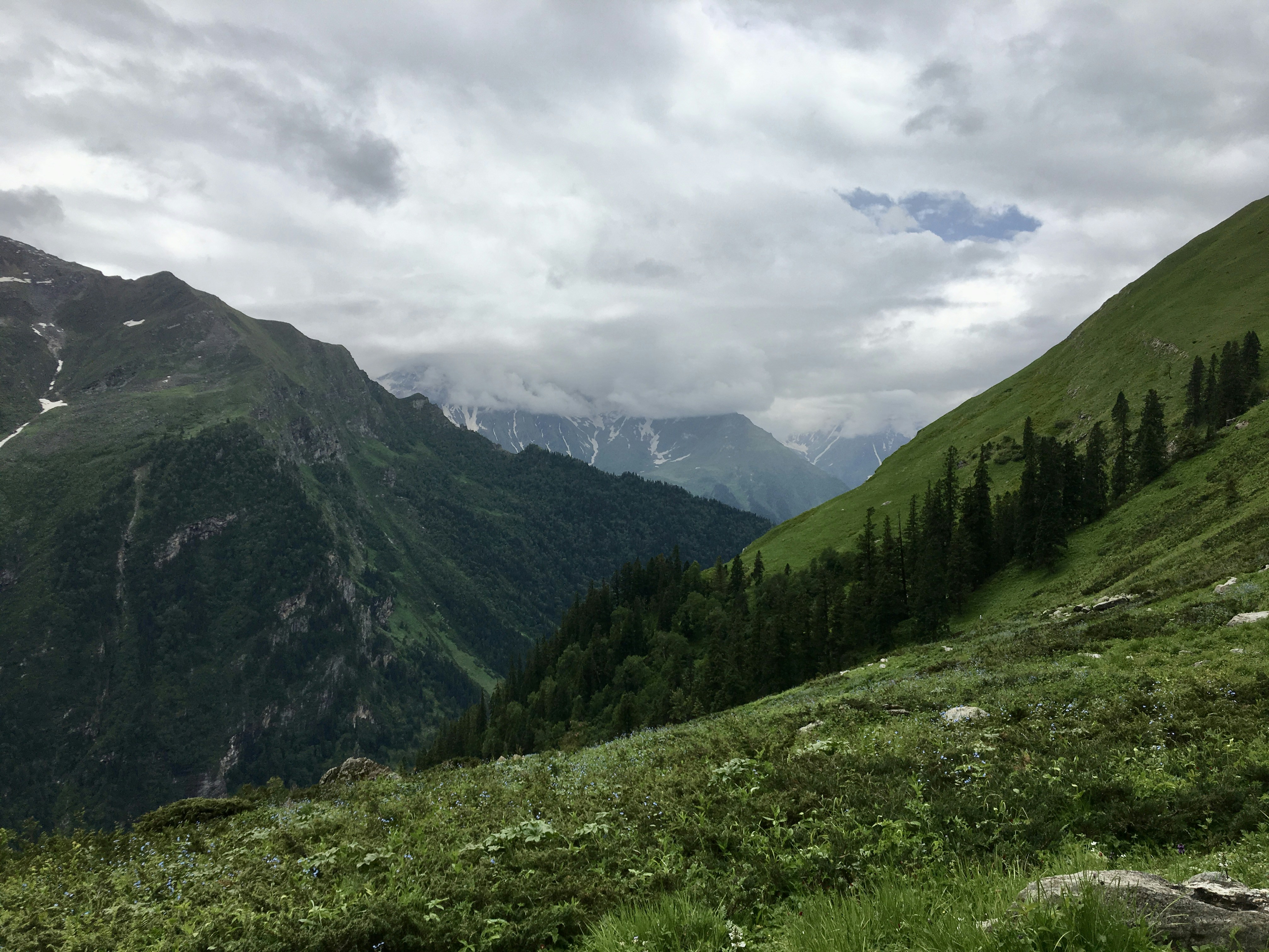 Photo by rajkaustubh32