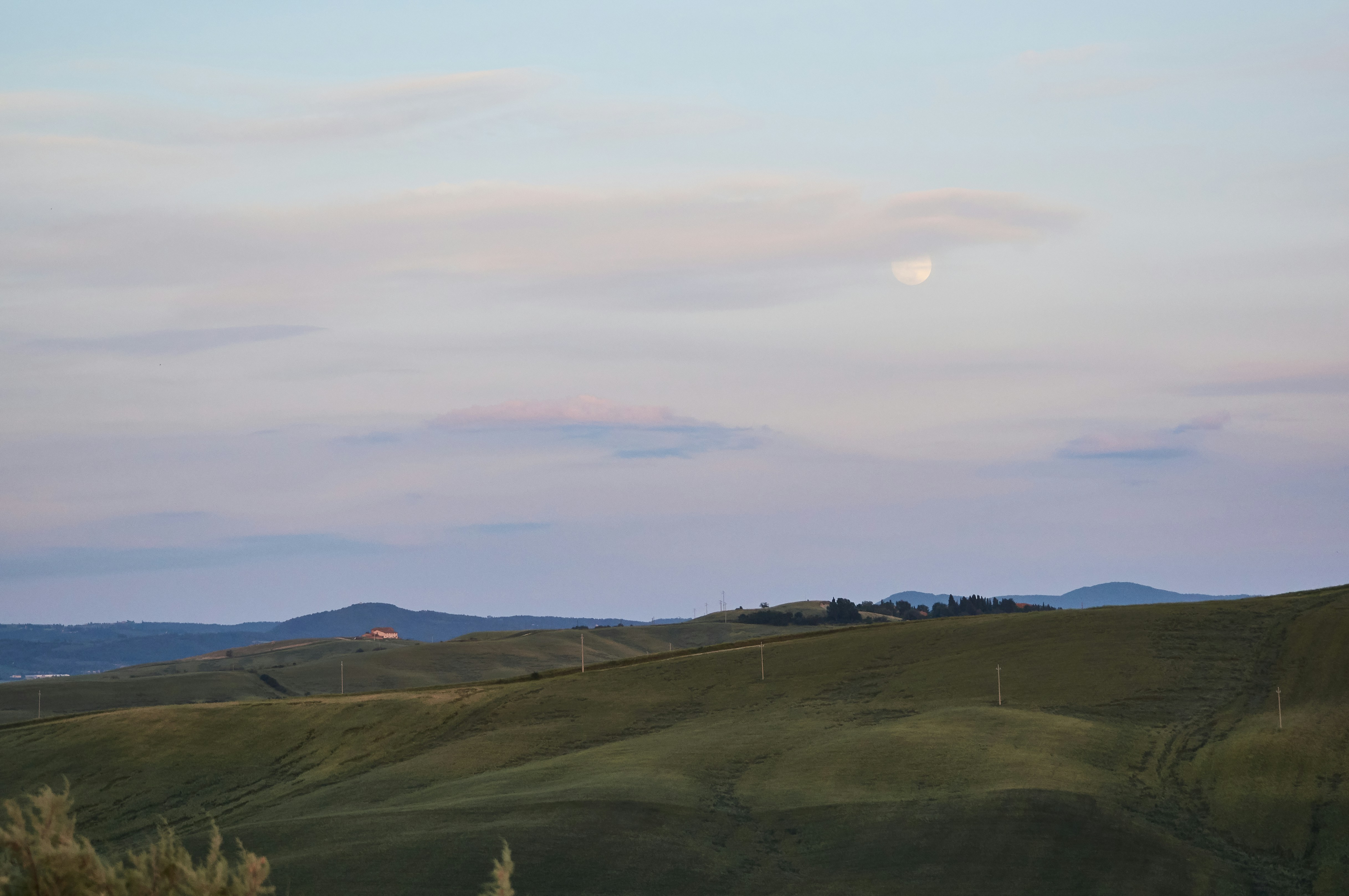 Photo by wolfgang_hasselmann