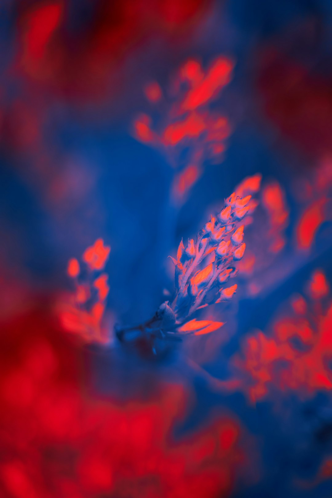 red and blue abstract painting