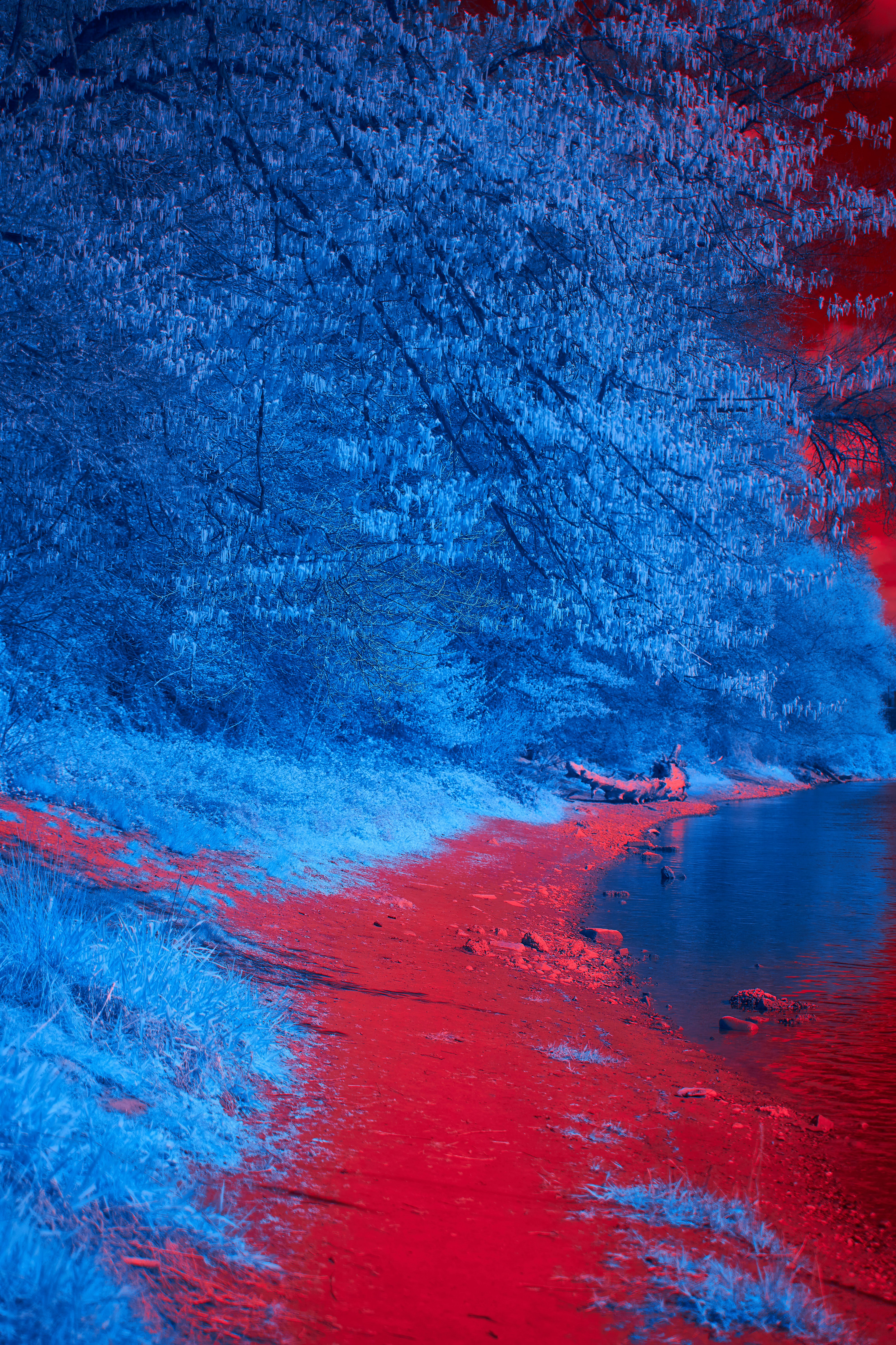 Photo by wolfgang_hasselmann