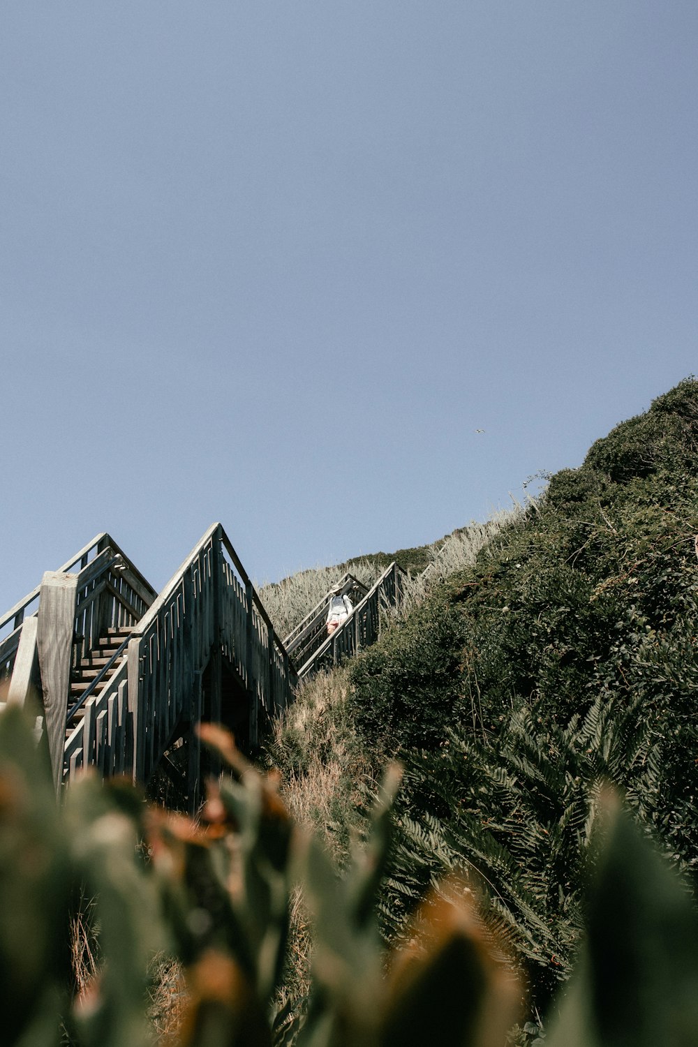 brown wooden house on green grass field near mountain during daytime