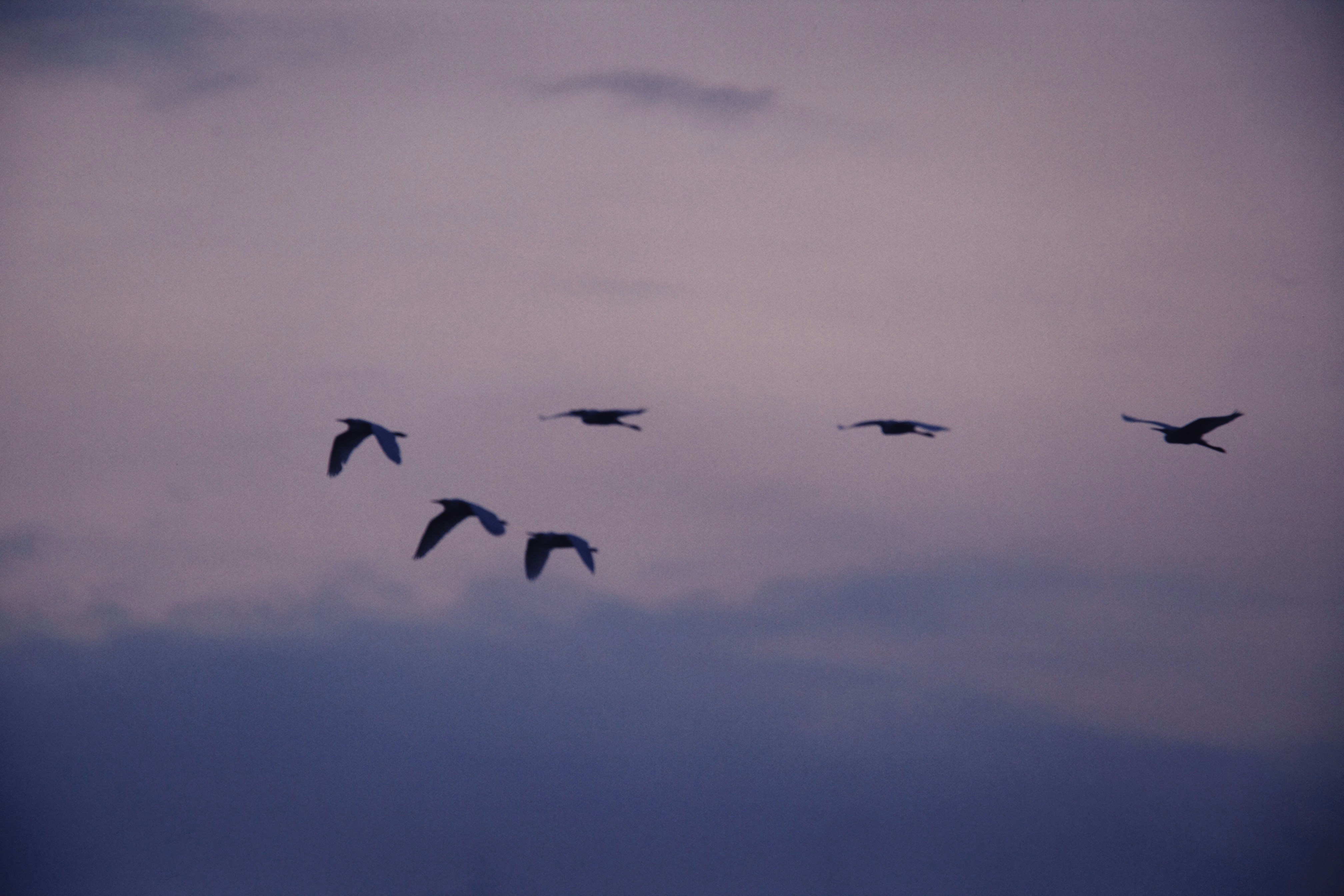 Photo by alexeydemidov