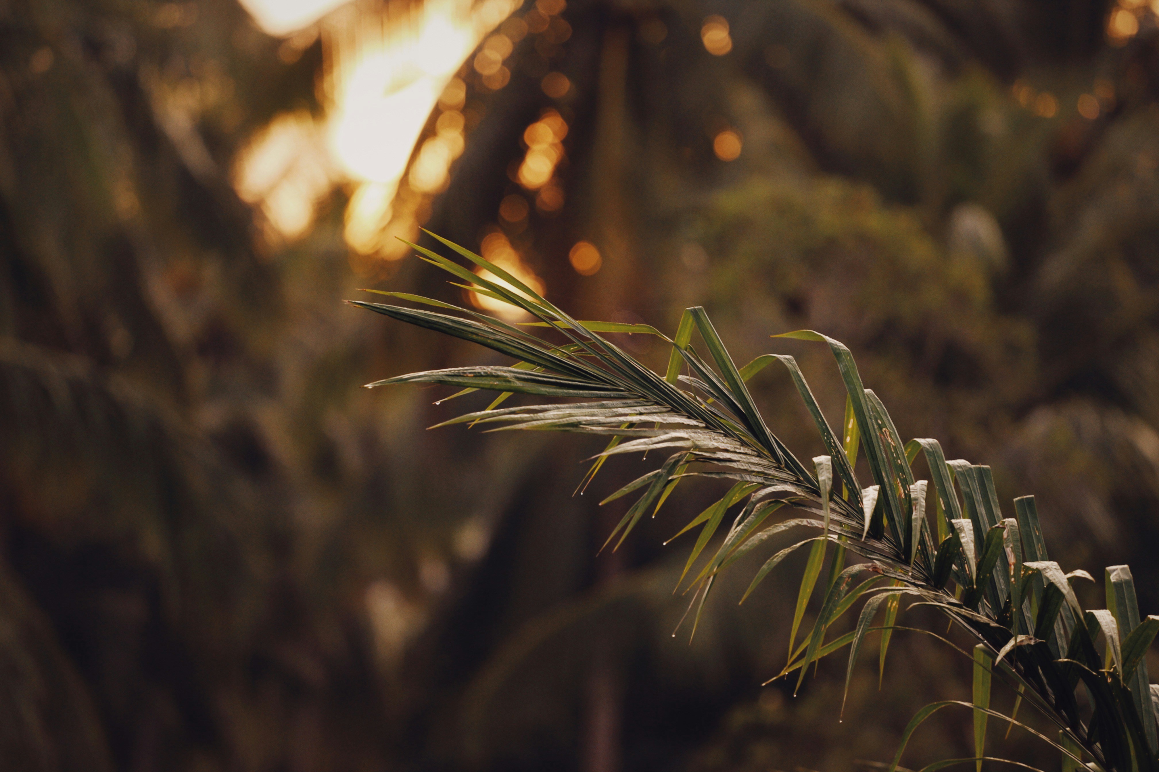 Photo by alexeydemidov