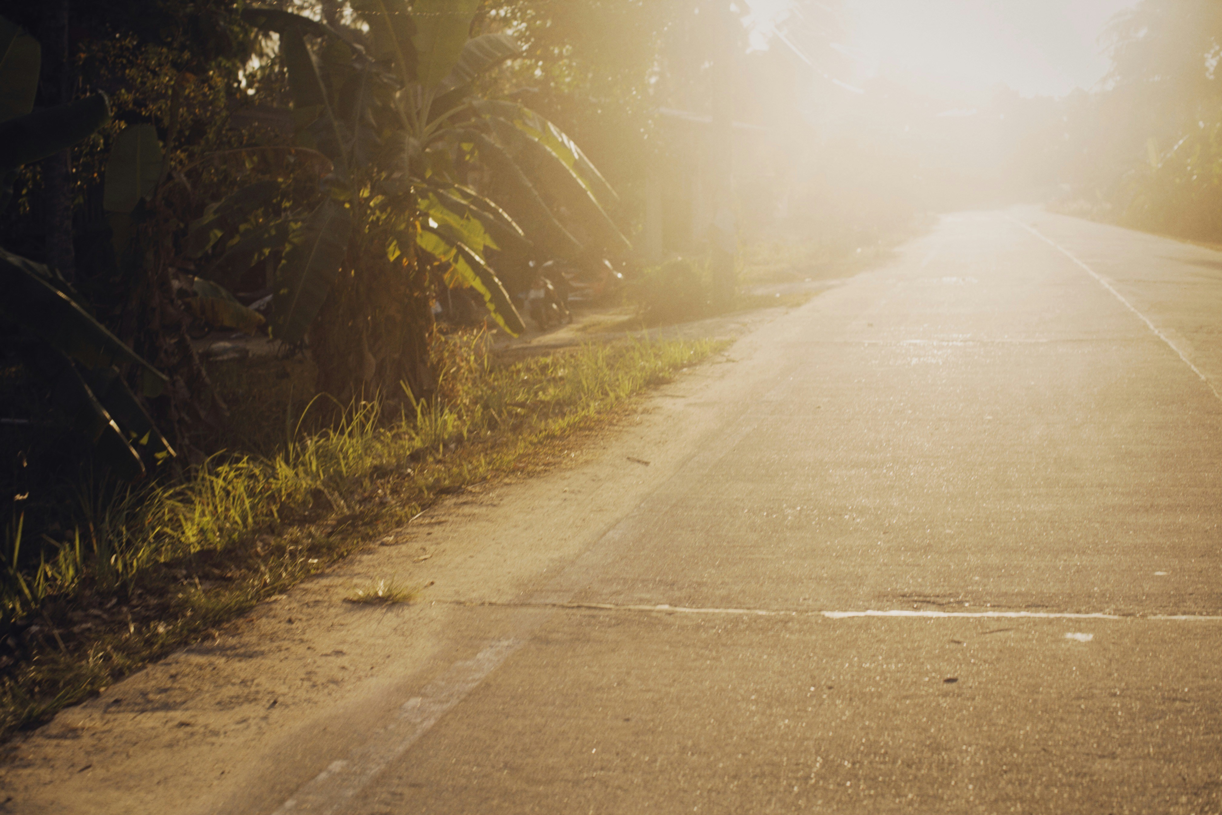 Photo by alexeydemidov