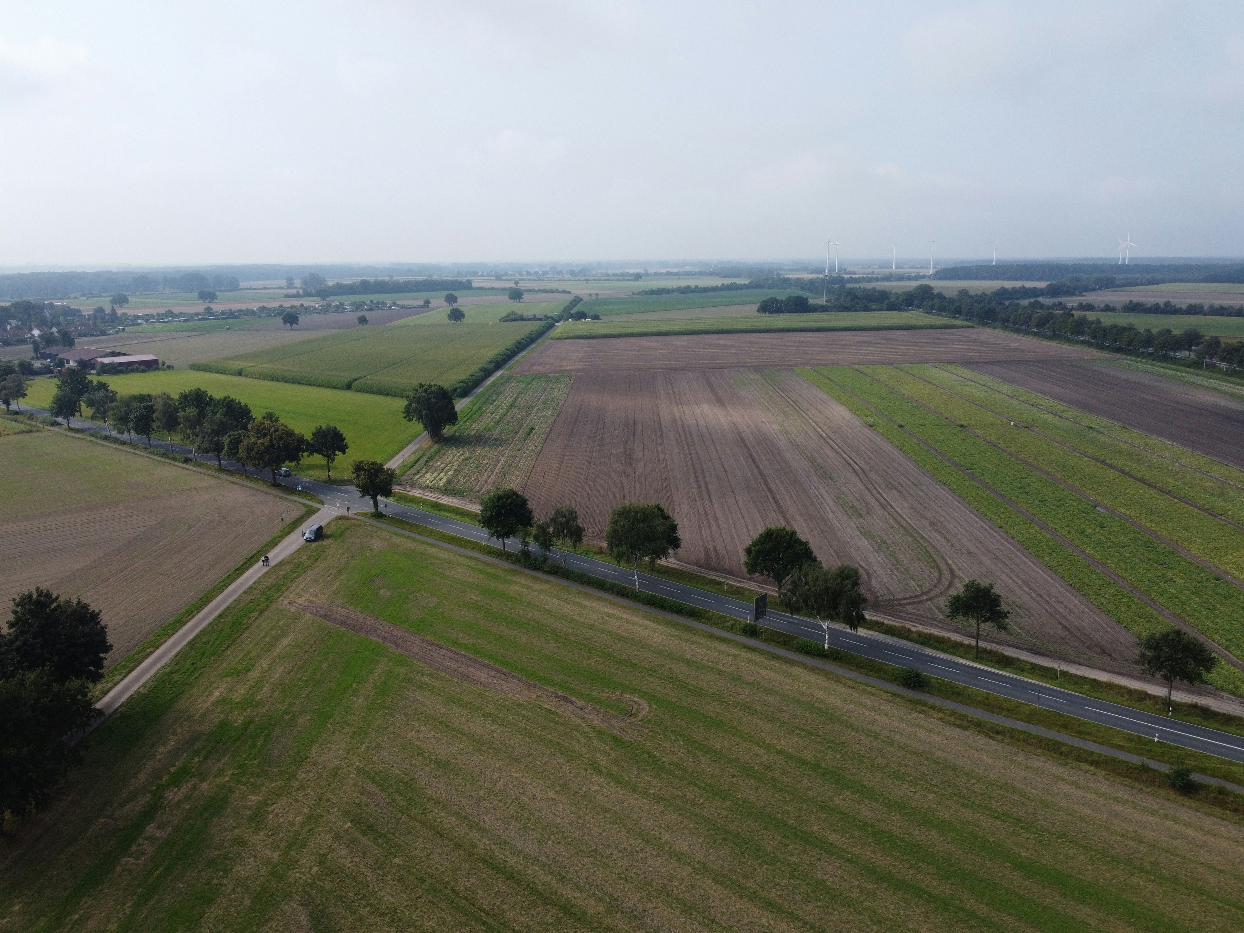 green grass field under white sky during daytime