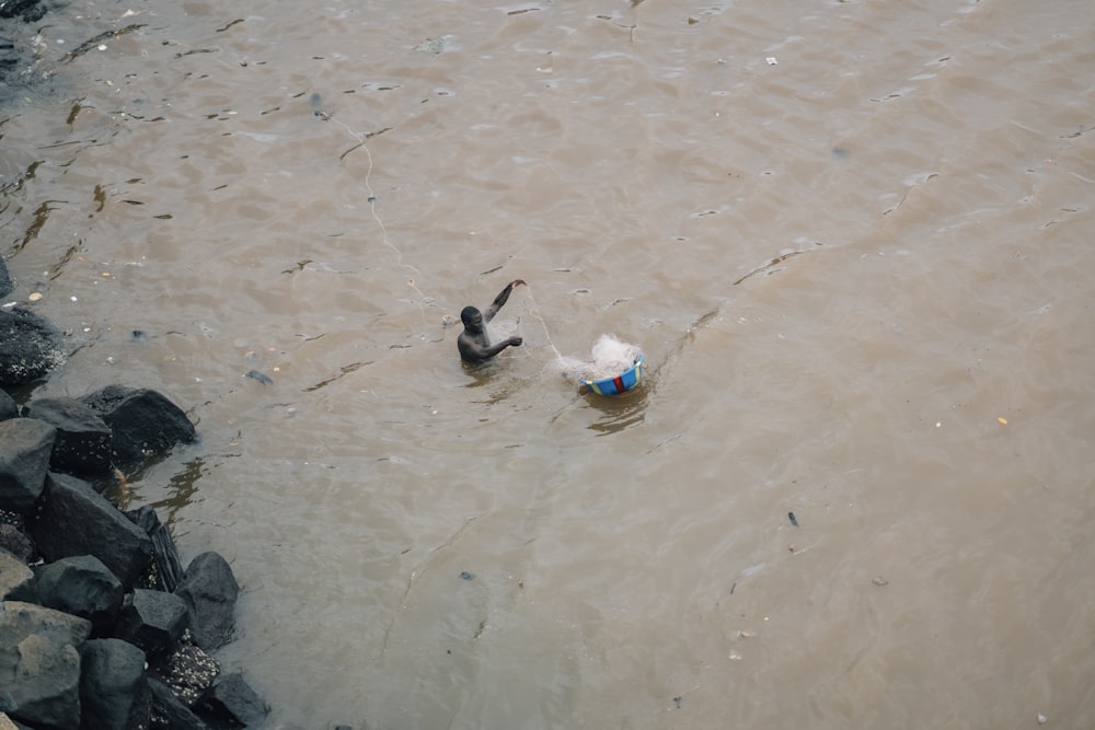 white and blue plastic bottle on brown sand