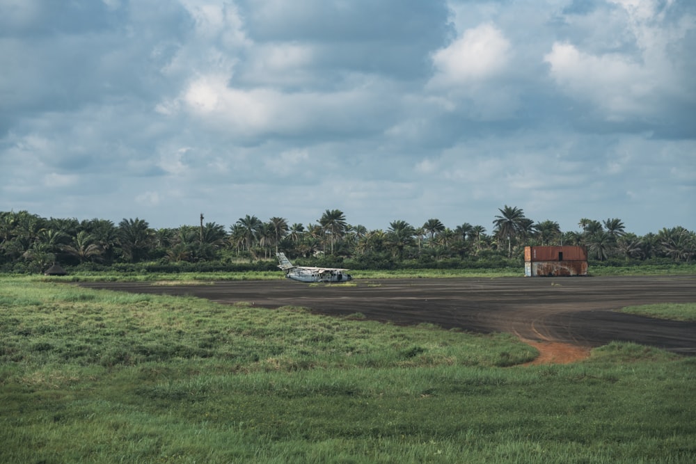 white car on green grass field during daytime