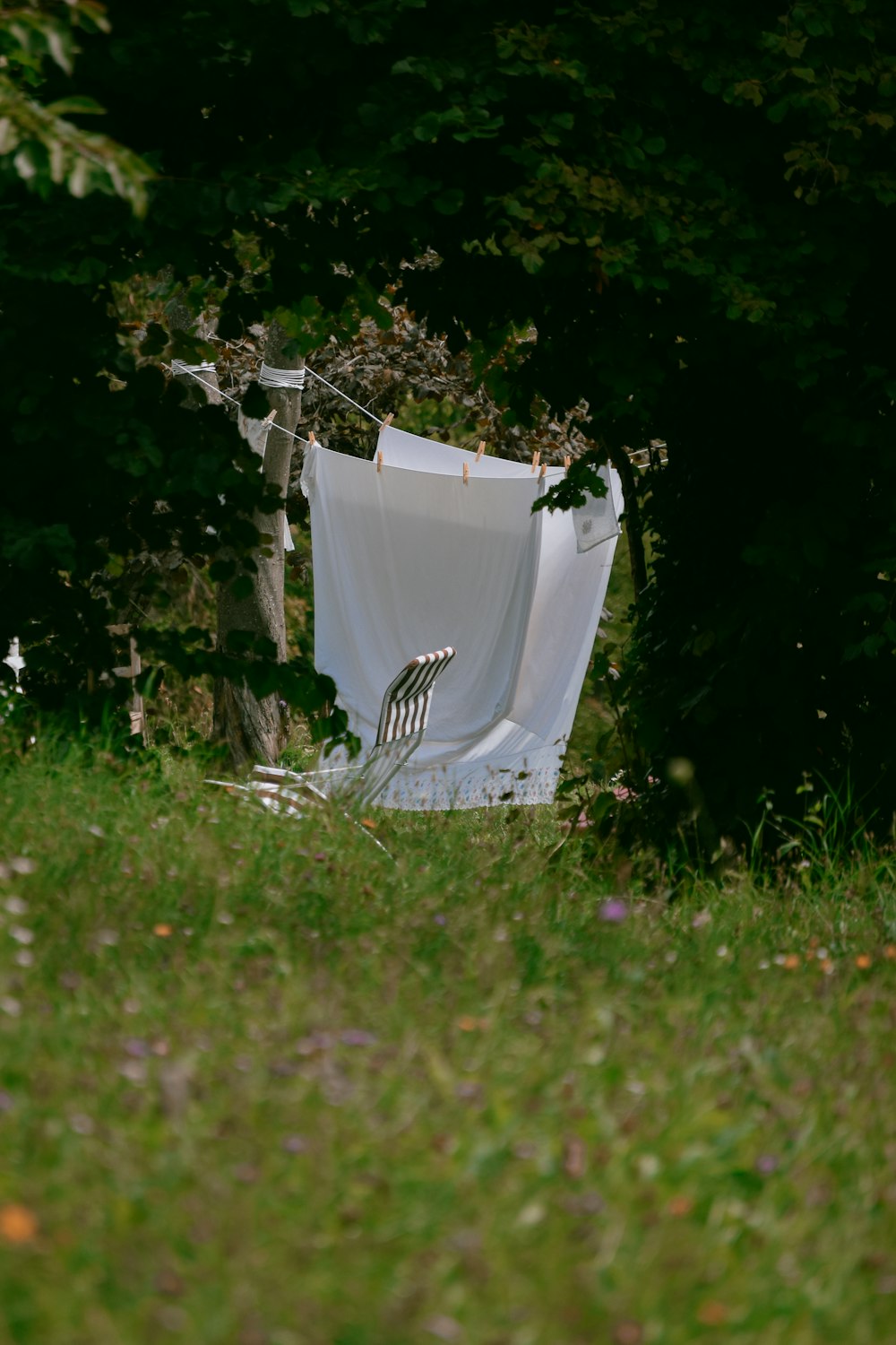 white plastic bag on green grass field
