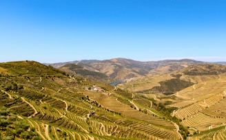 green mountains under blue sky during daytime