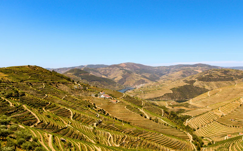 Porto & the Douro