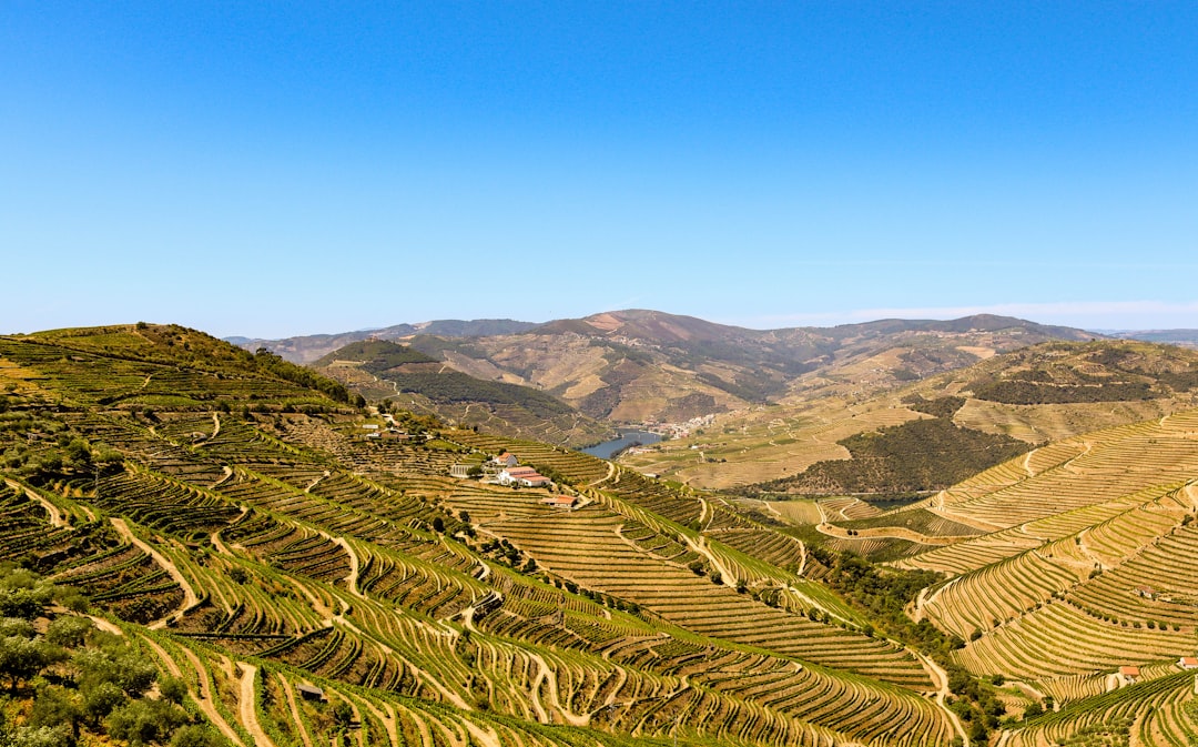 Take in the Views: 7 Breathtaking Hikes Across Portugal - Walk Alon… — Take in the Views