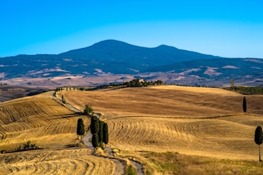 person walking on dirt road during daytime