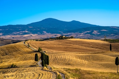 person walking on dirt road during daytime