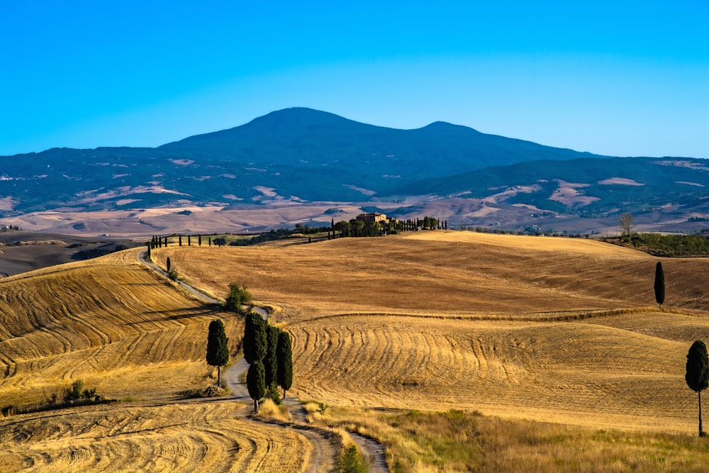 person walking on dirt road during daytime