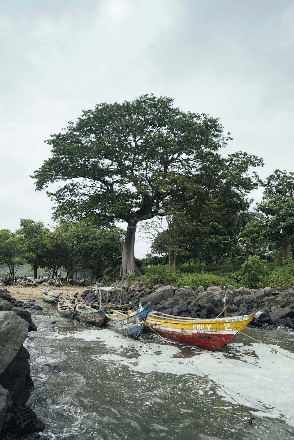 red and yellow boat on shore during daytime