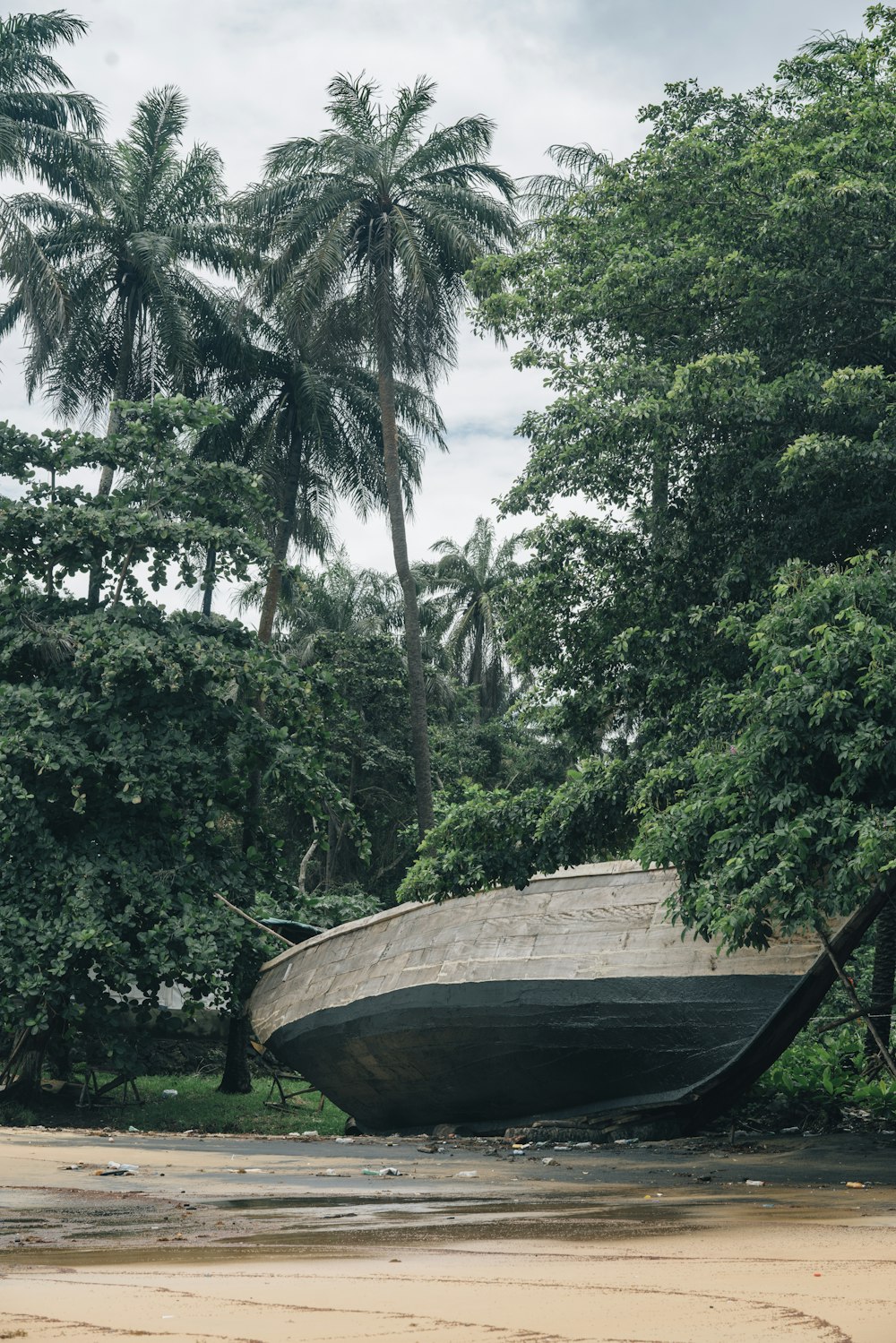 brown wooden canoe on green grass field near green trees during daytime