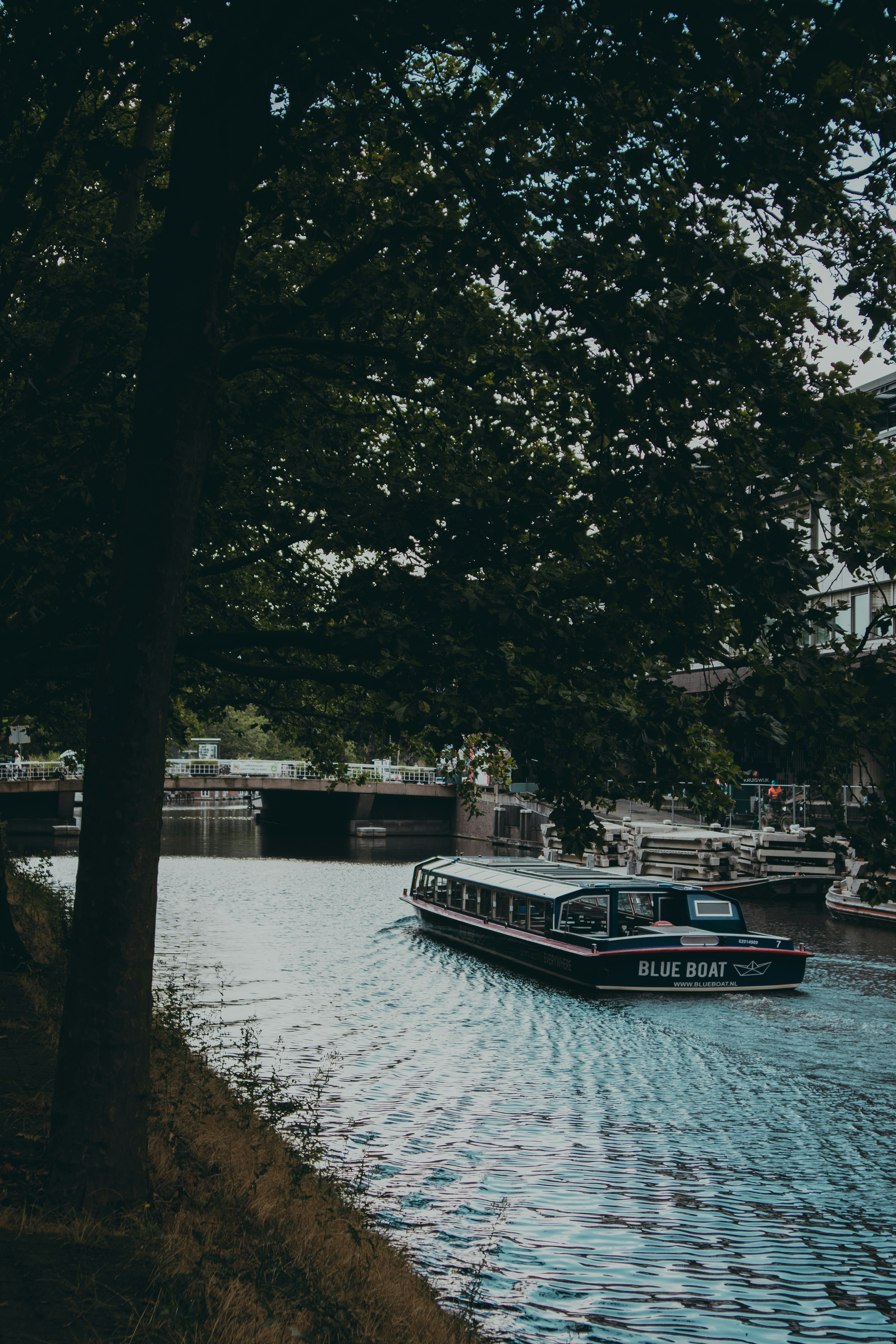 Photo by annahunko
