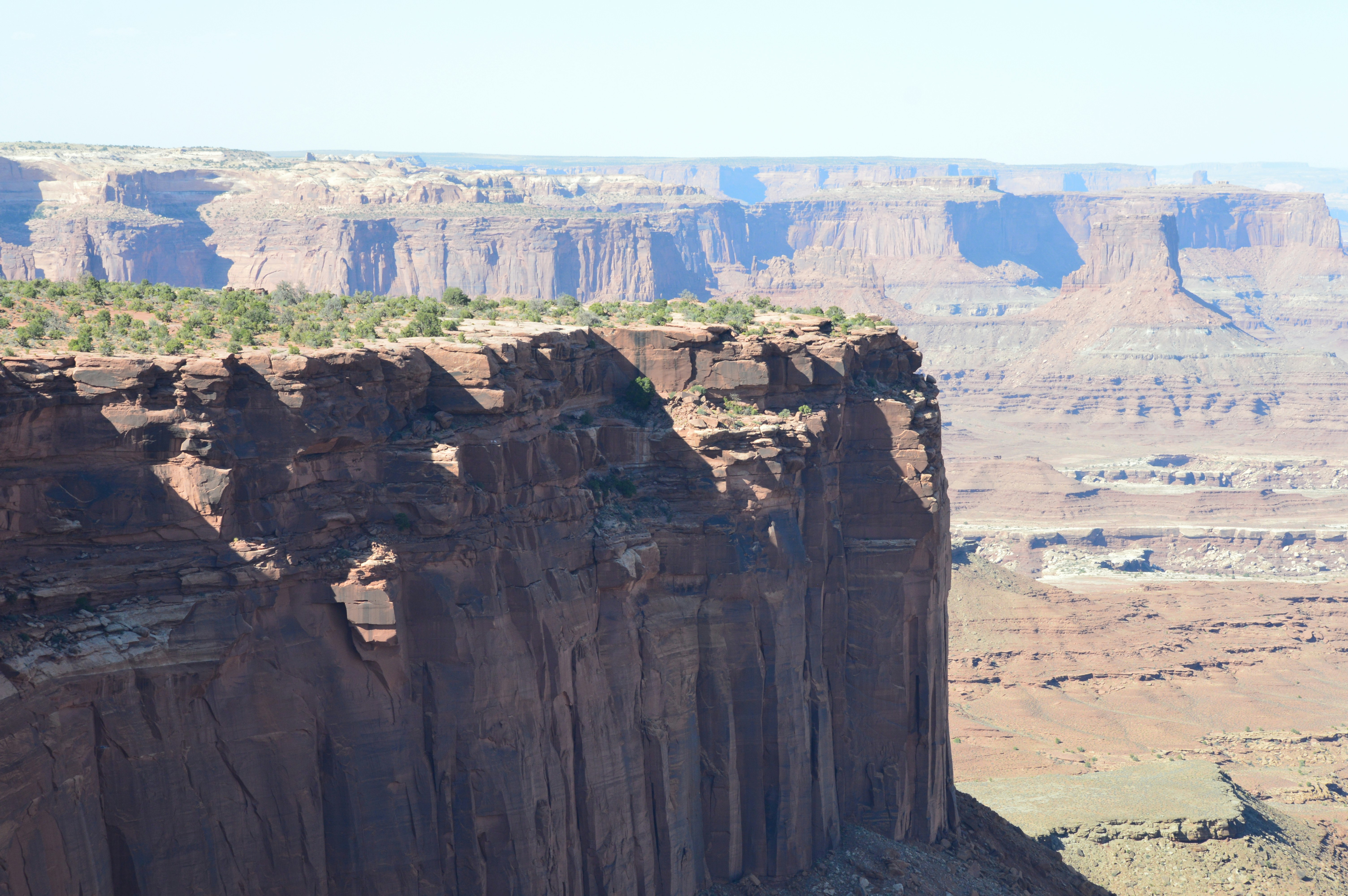 Photo by who_is_trent