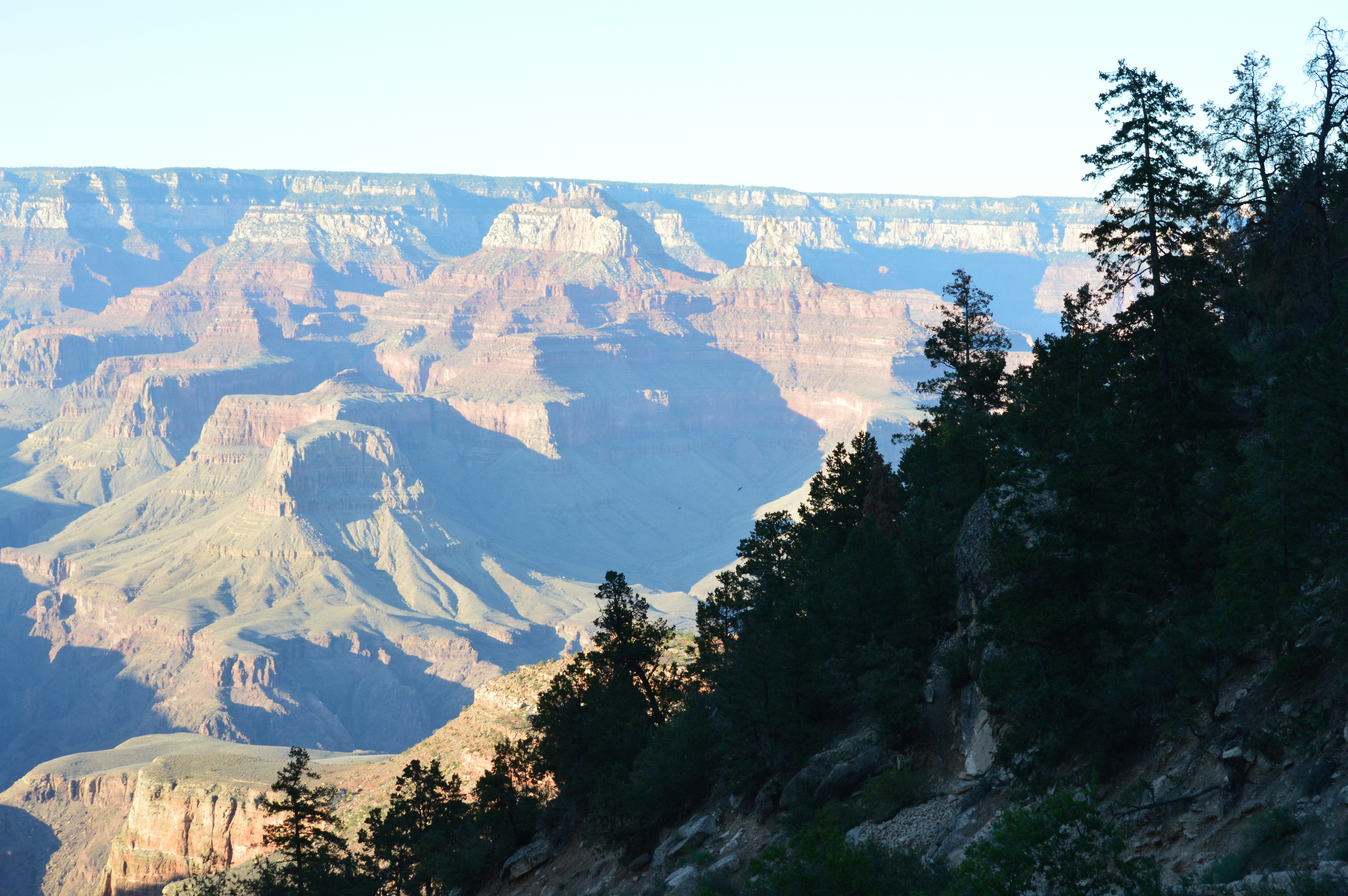 Photo by who_is_trent