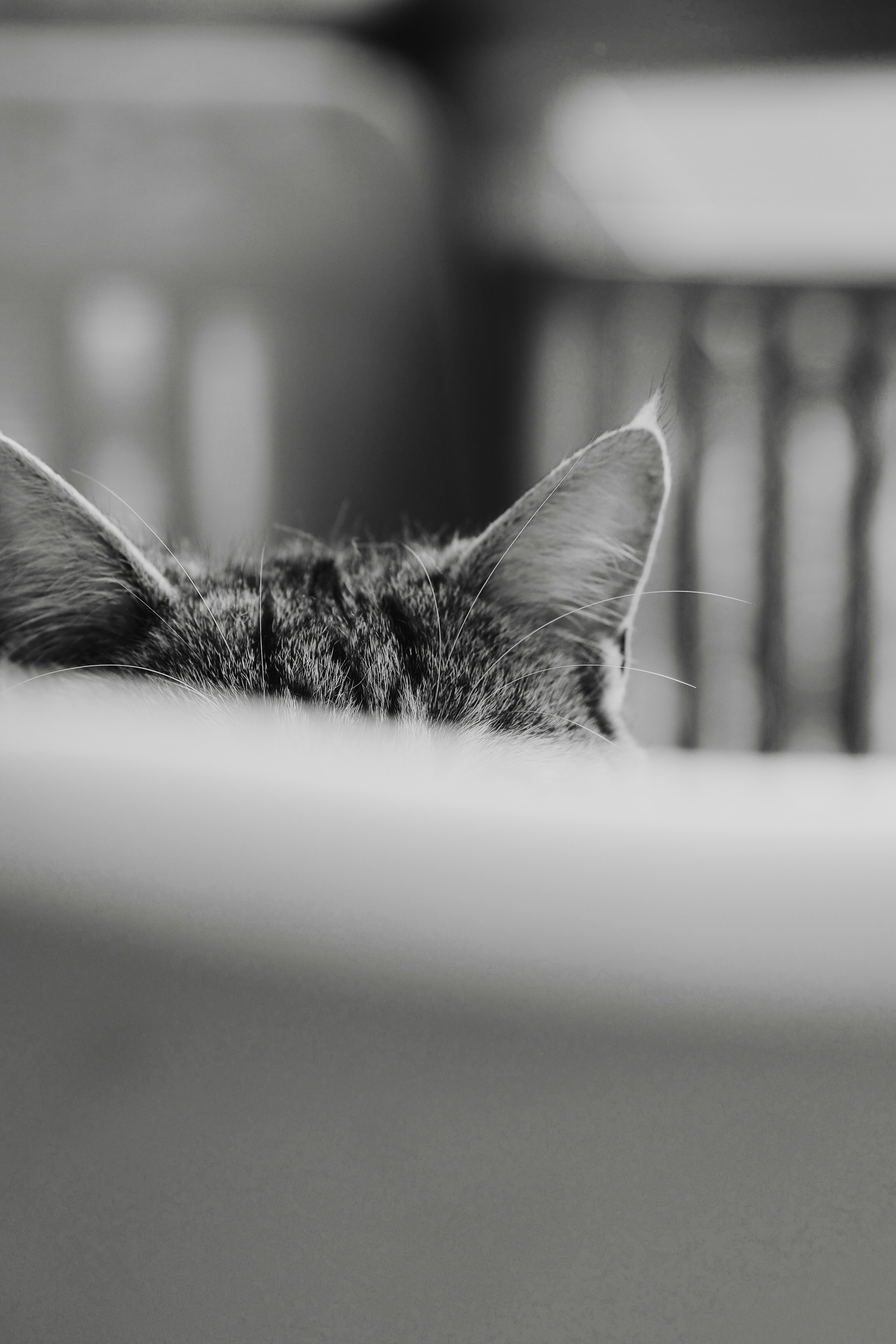 Photo by laurachouette