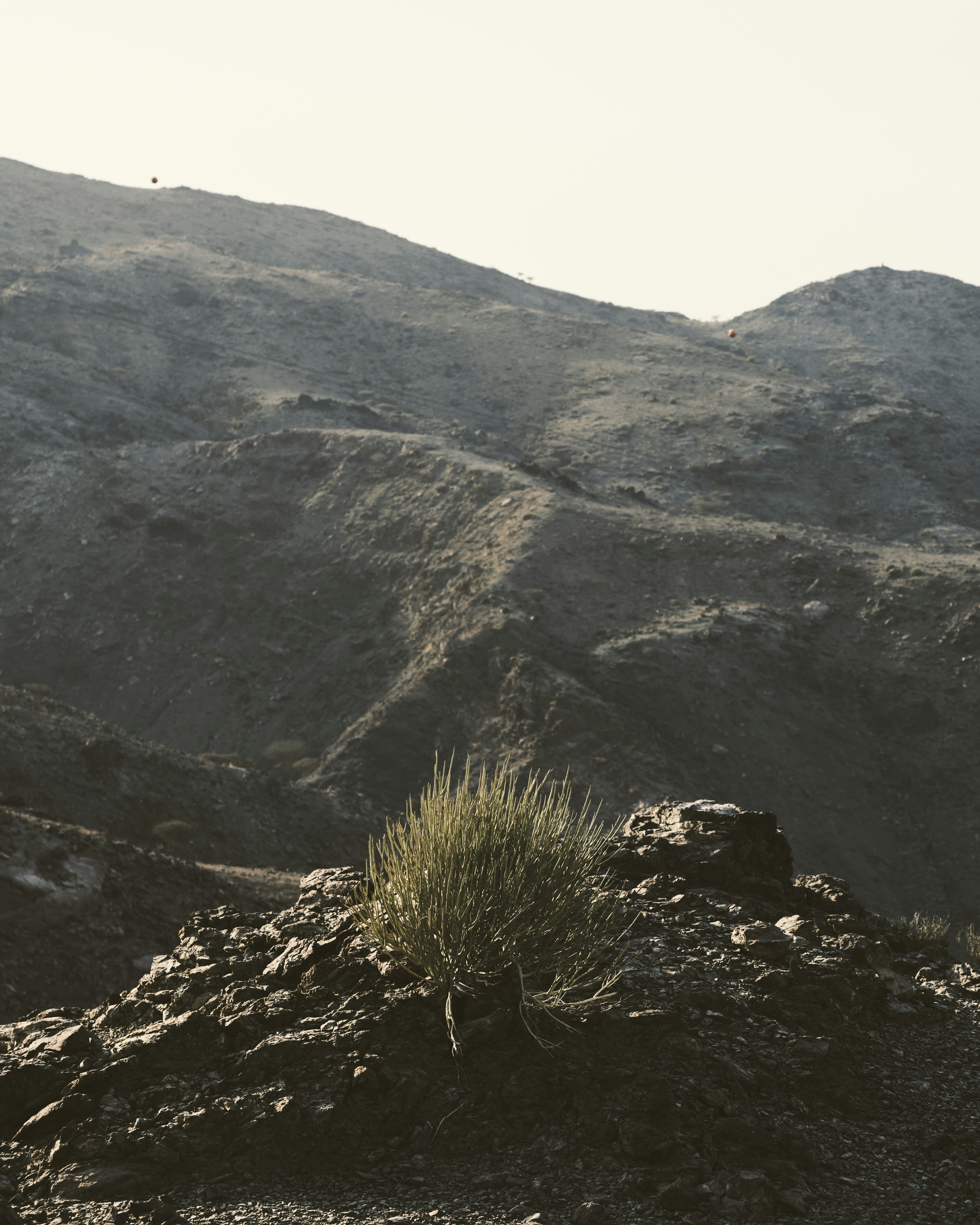 Photo by lazyeyedone