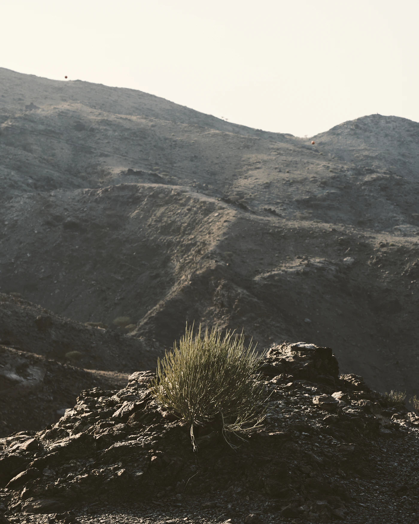 Grüne und braune Bergzüge in Fujairah