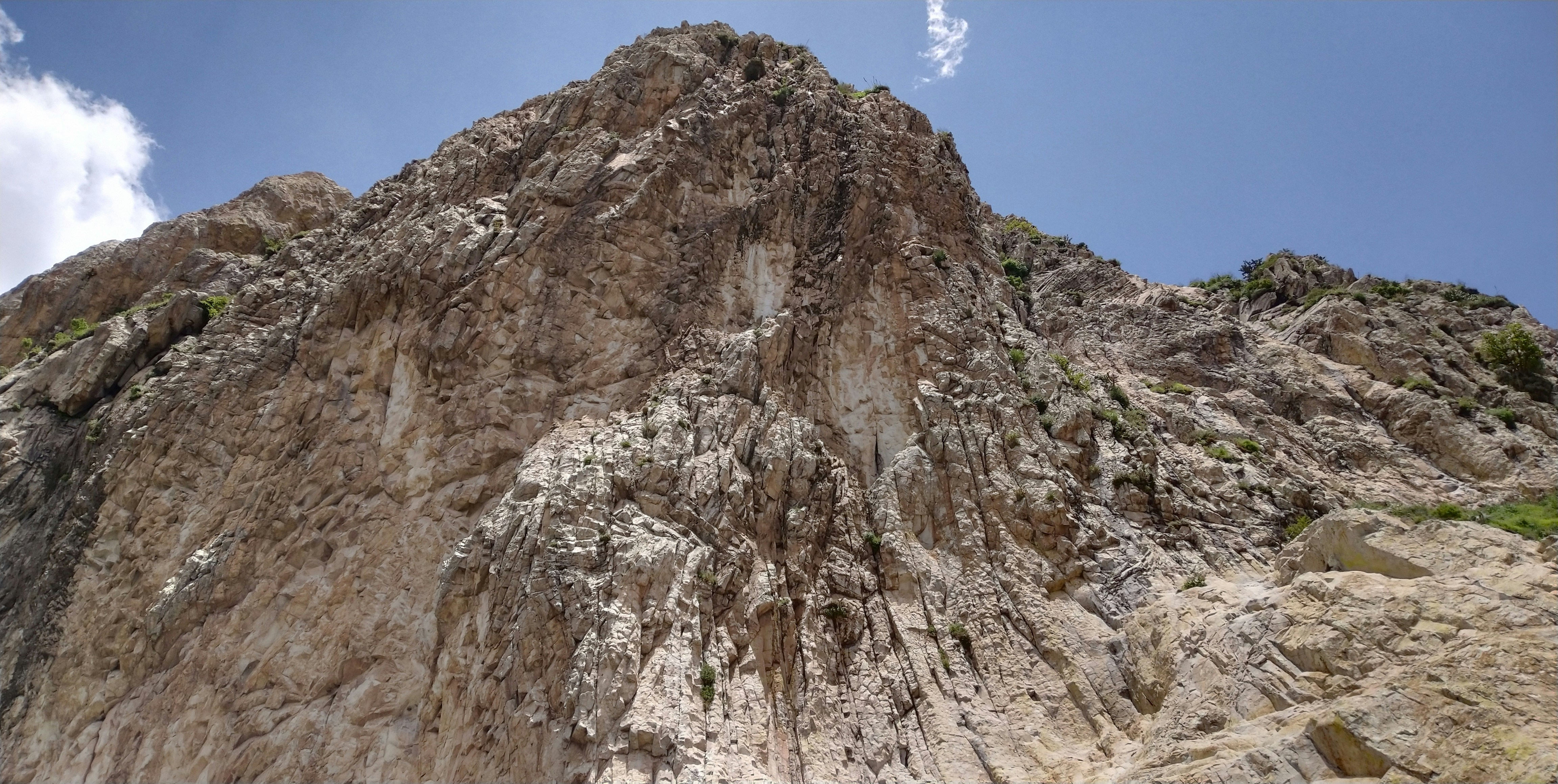 Photo by brandon_wallace