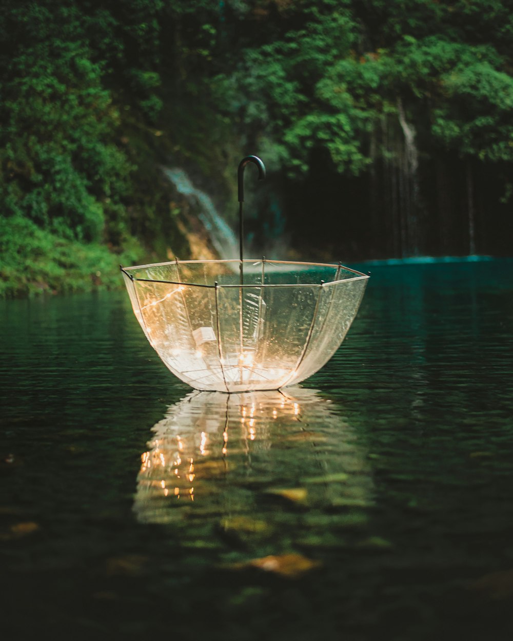 clear glass bowl on water
