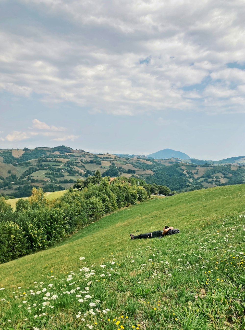 green grass field and mountains during daytime