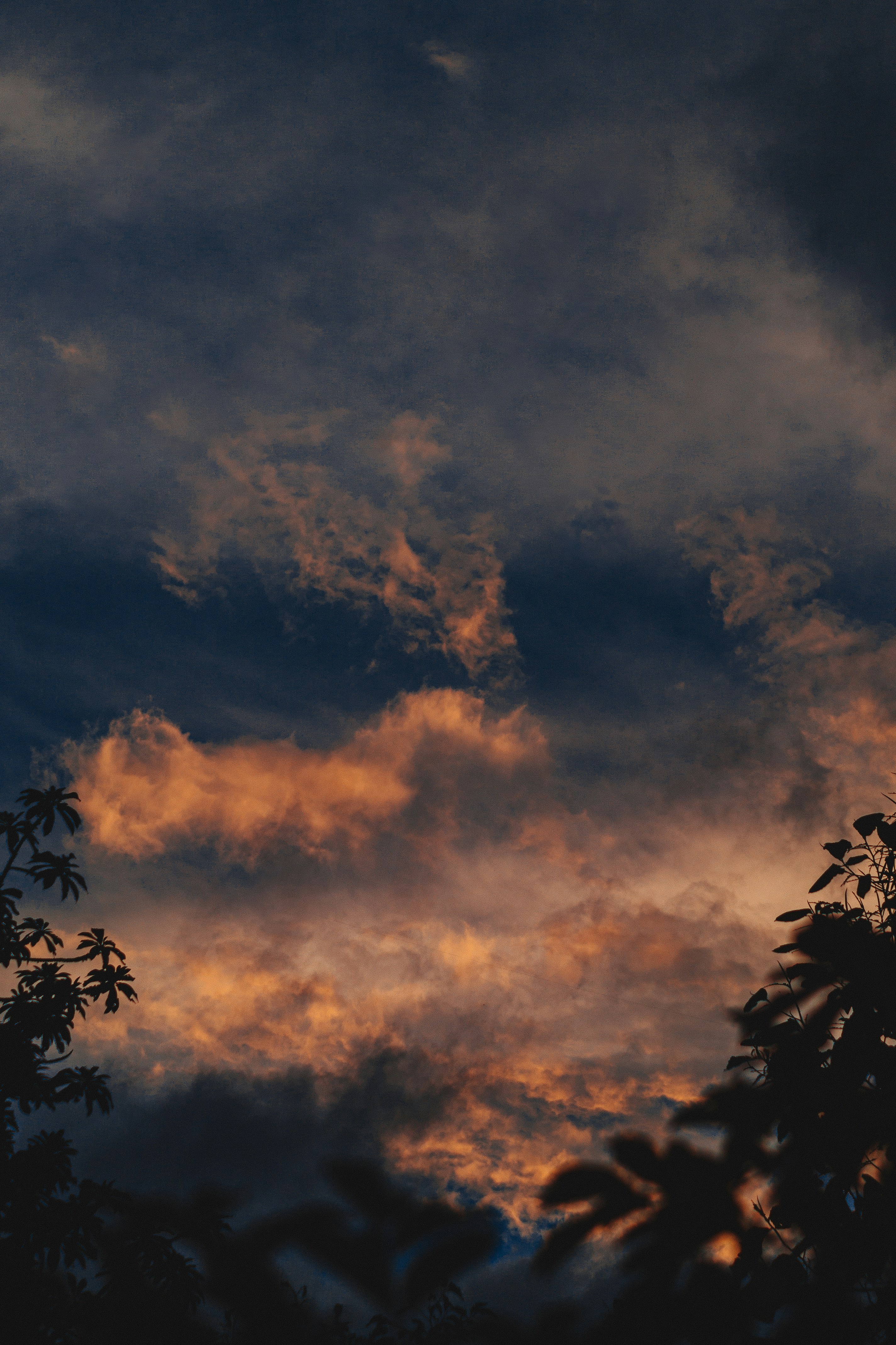 Photo by daniel_castellon20