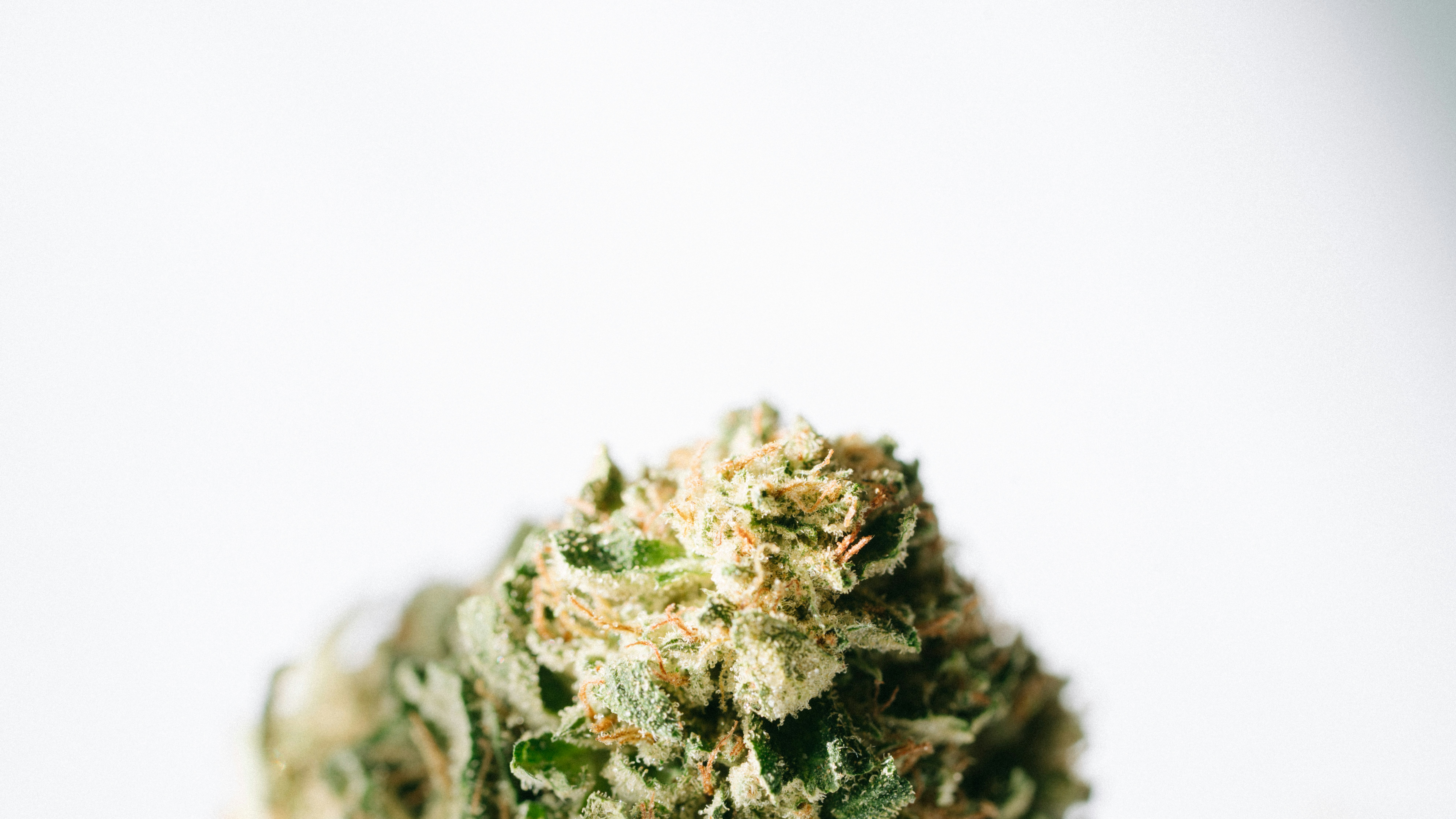 Photo by nickharsell