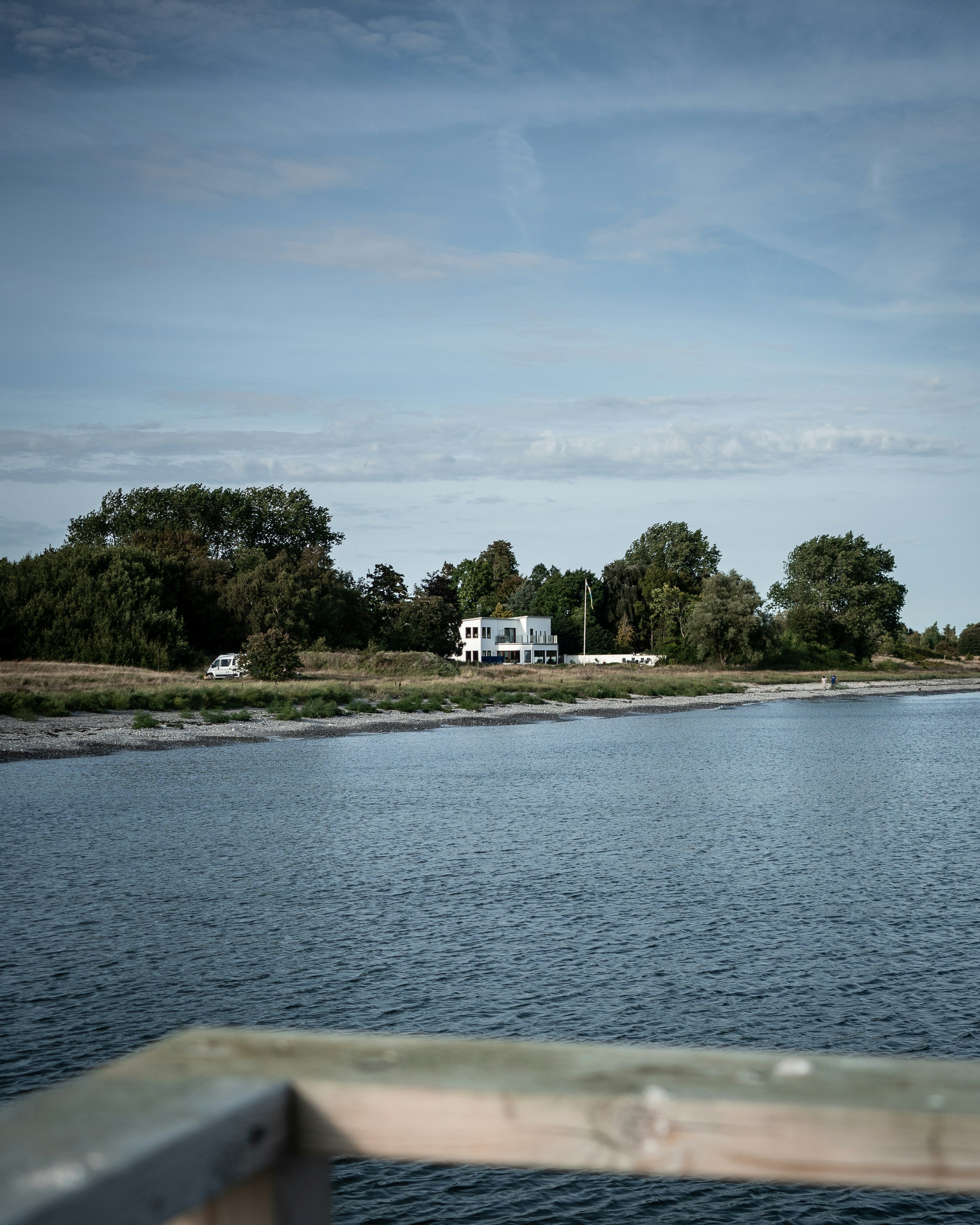 Grüne Bäume in der Nähe von Gewässern während des Tages