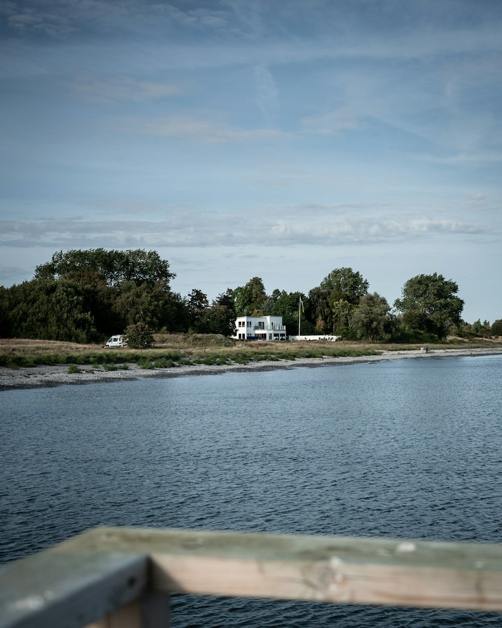 green trees near body of water during daytime