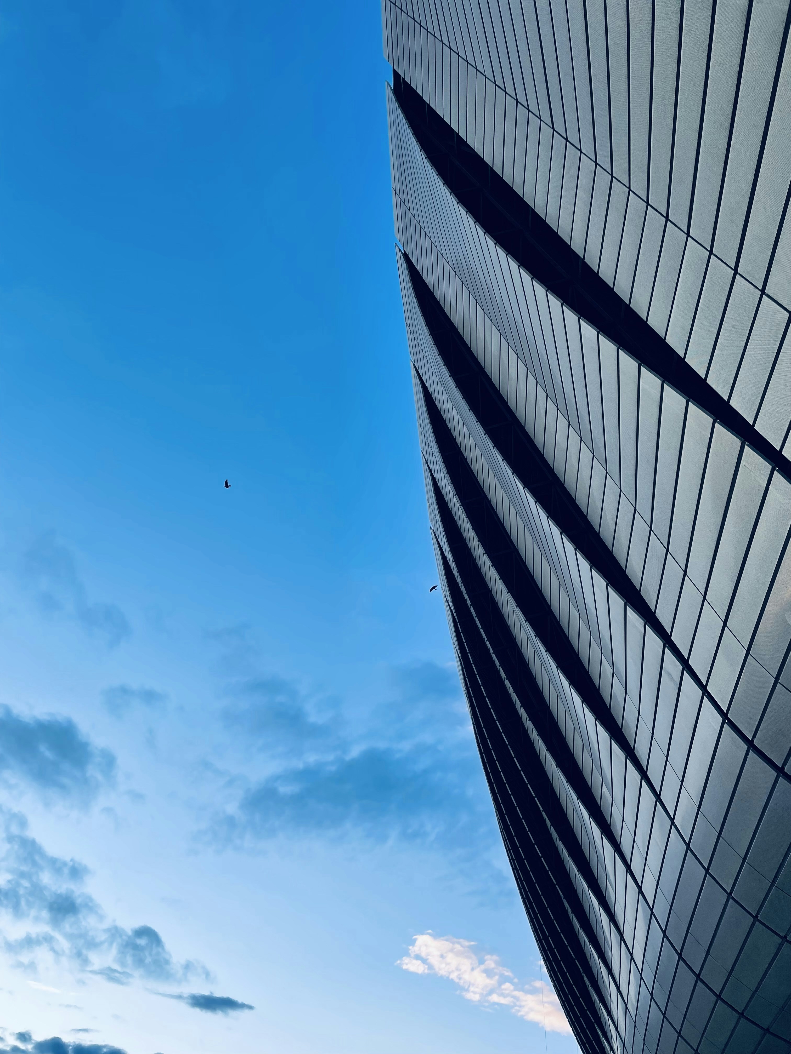 Photo by alldaybradley