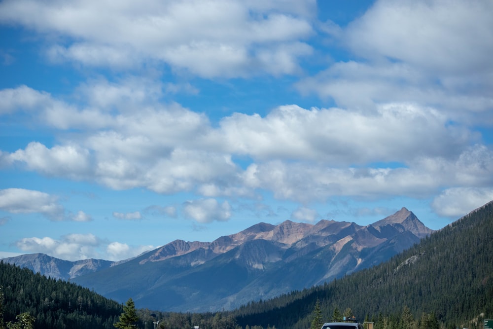 green trees on mountain under white clouds during daytime