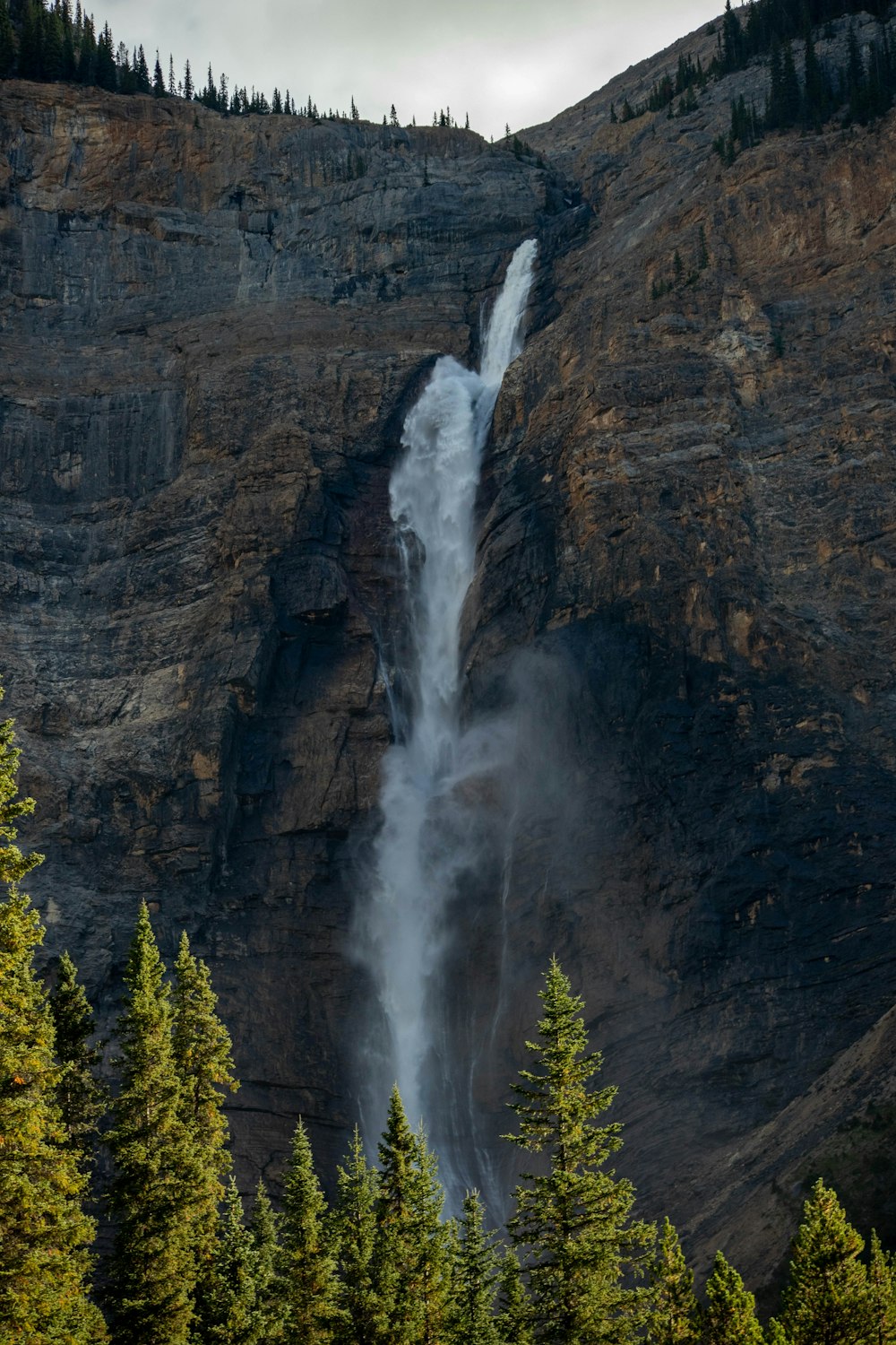 waterfalls in the middle of the forest