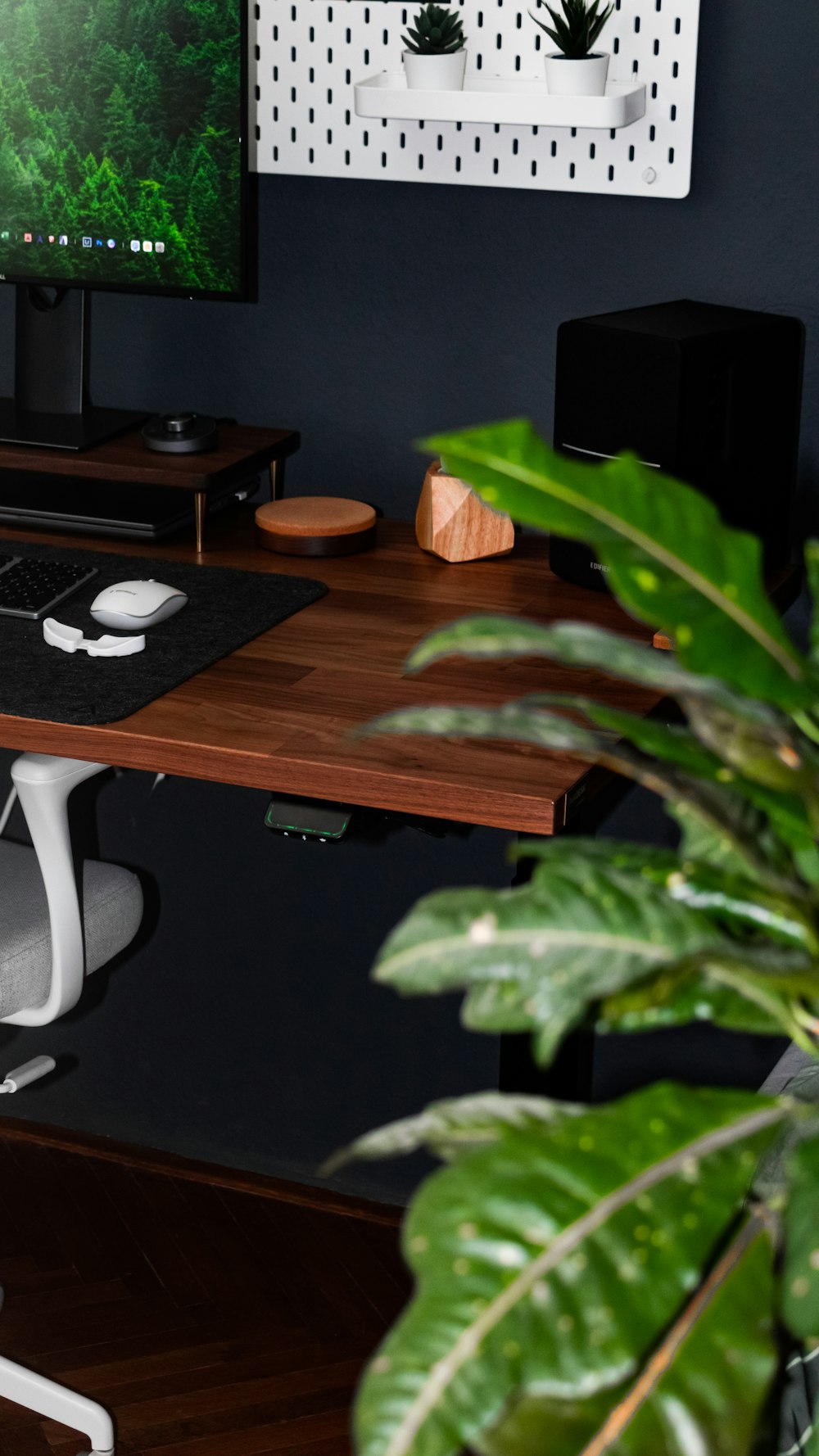 green plant on brown wooden table