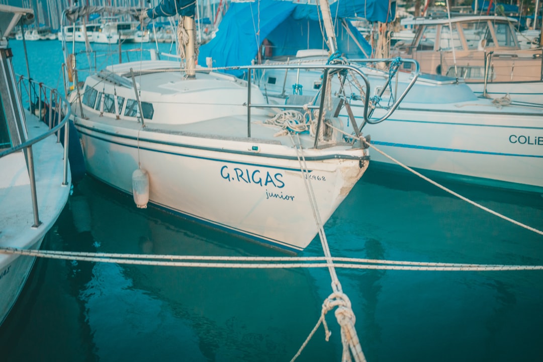 white and blue sail boat on body of water during daytime