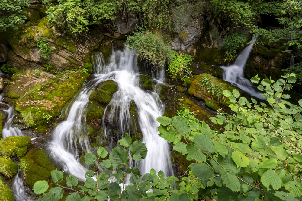 waterfalls in the middle of green moss covered rocks