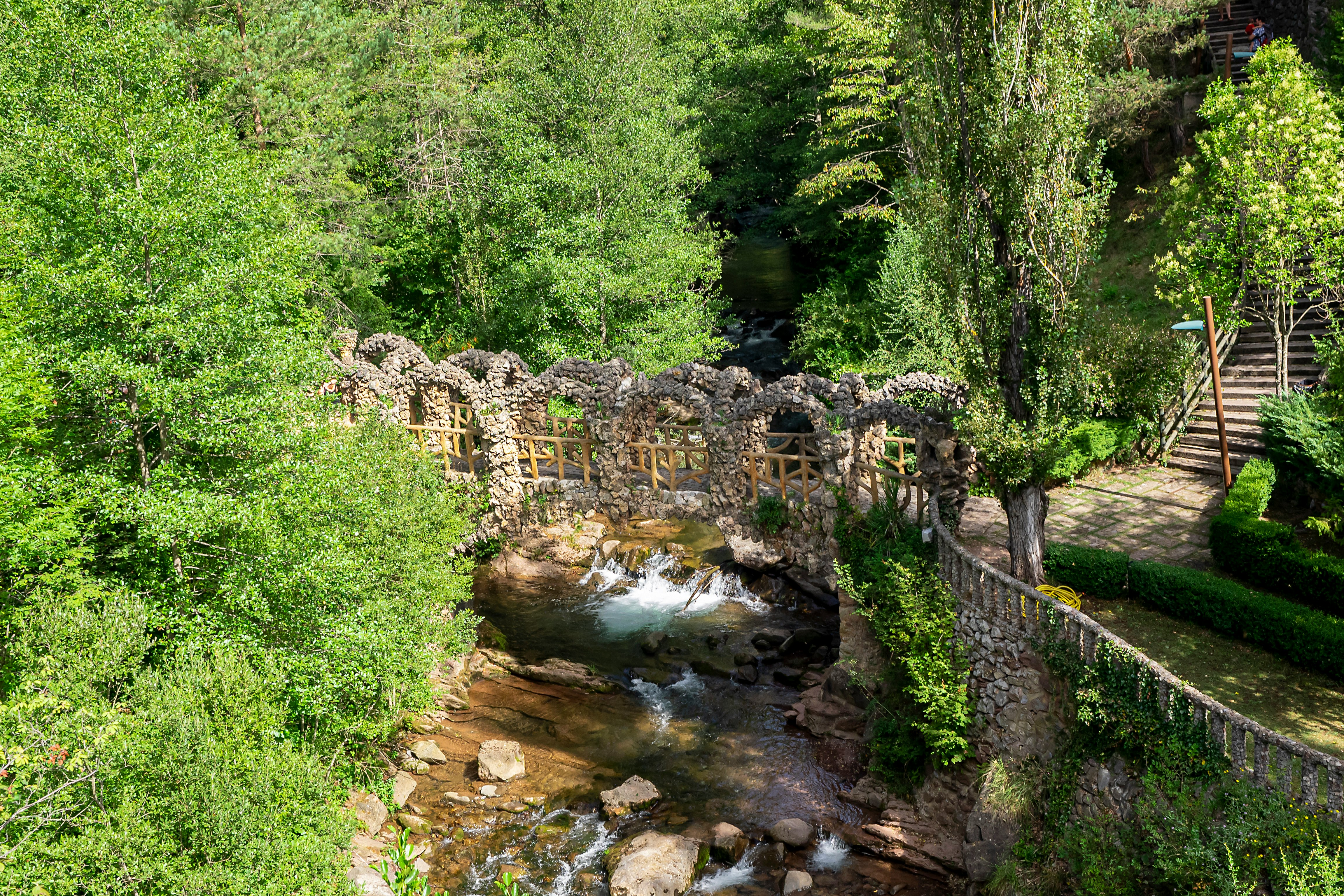 green trees beside river during daytime