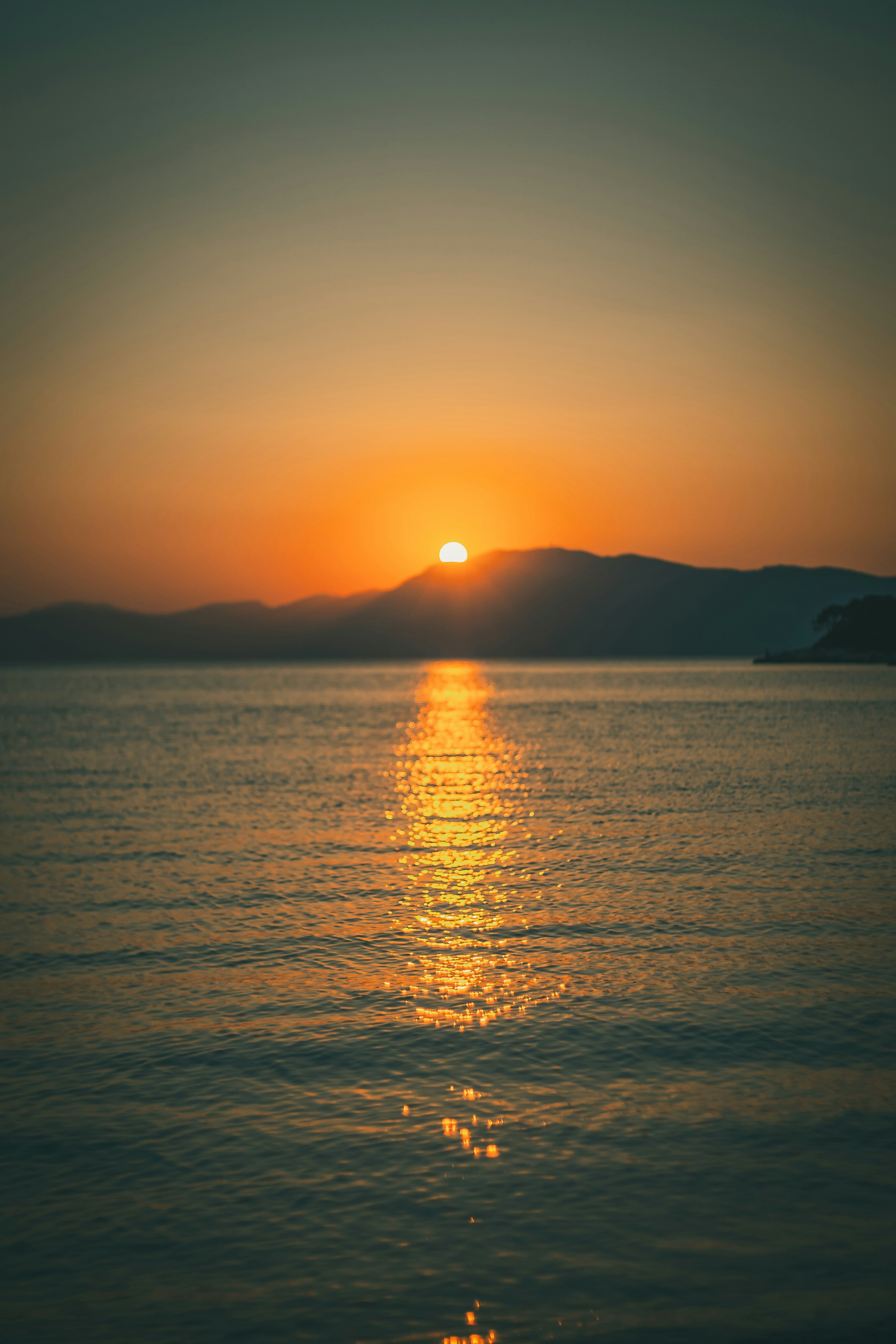 Photo by raimondklavins